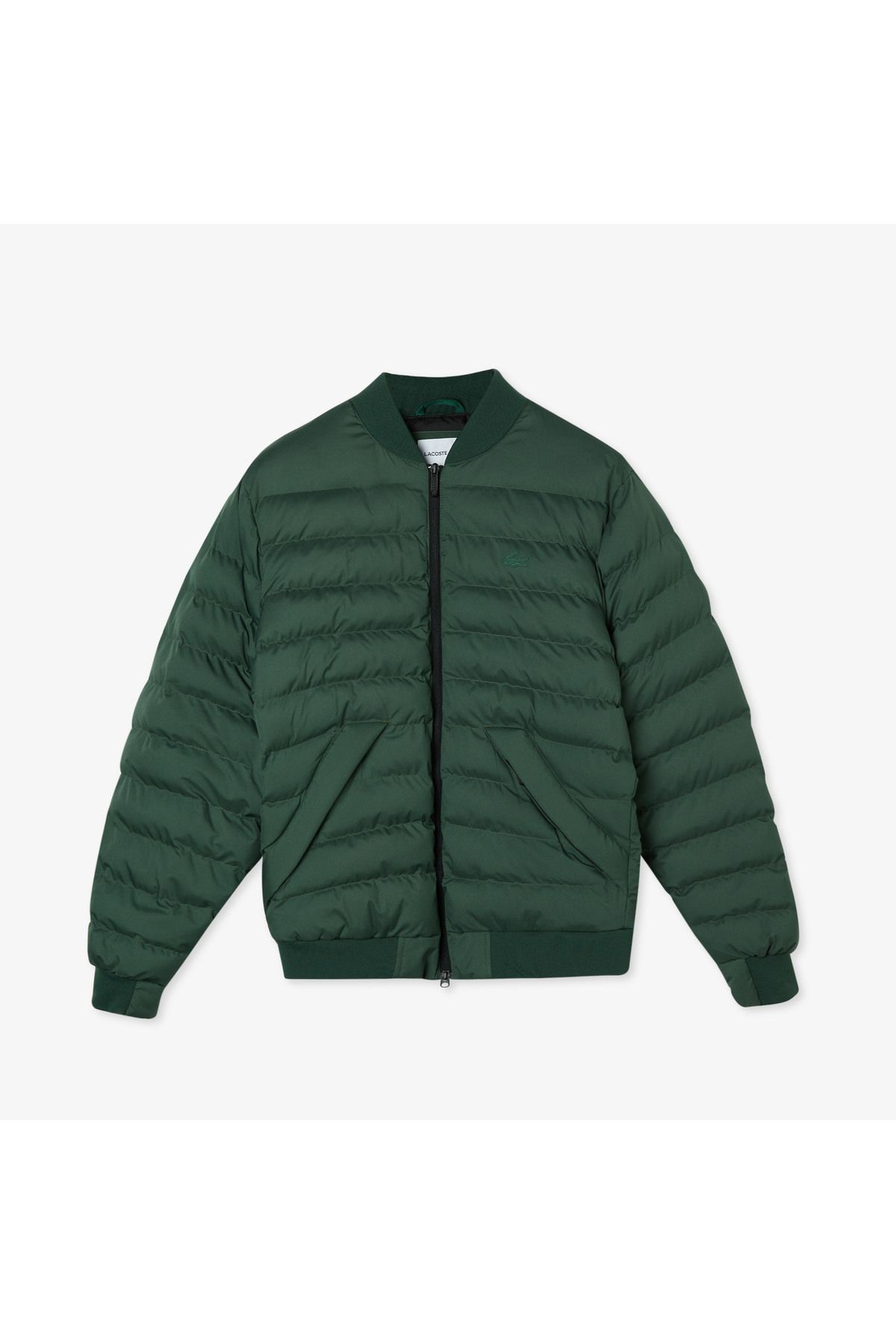 کاپشن سبز مردانه مانتو خاکی لحاف یقه قاضی Lacoste