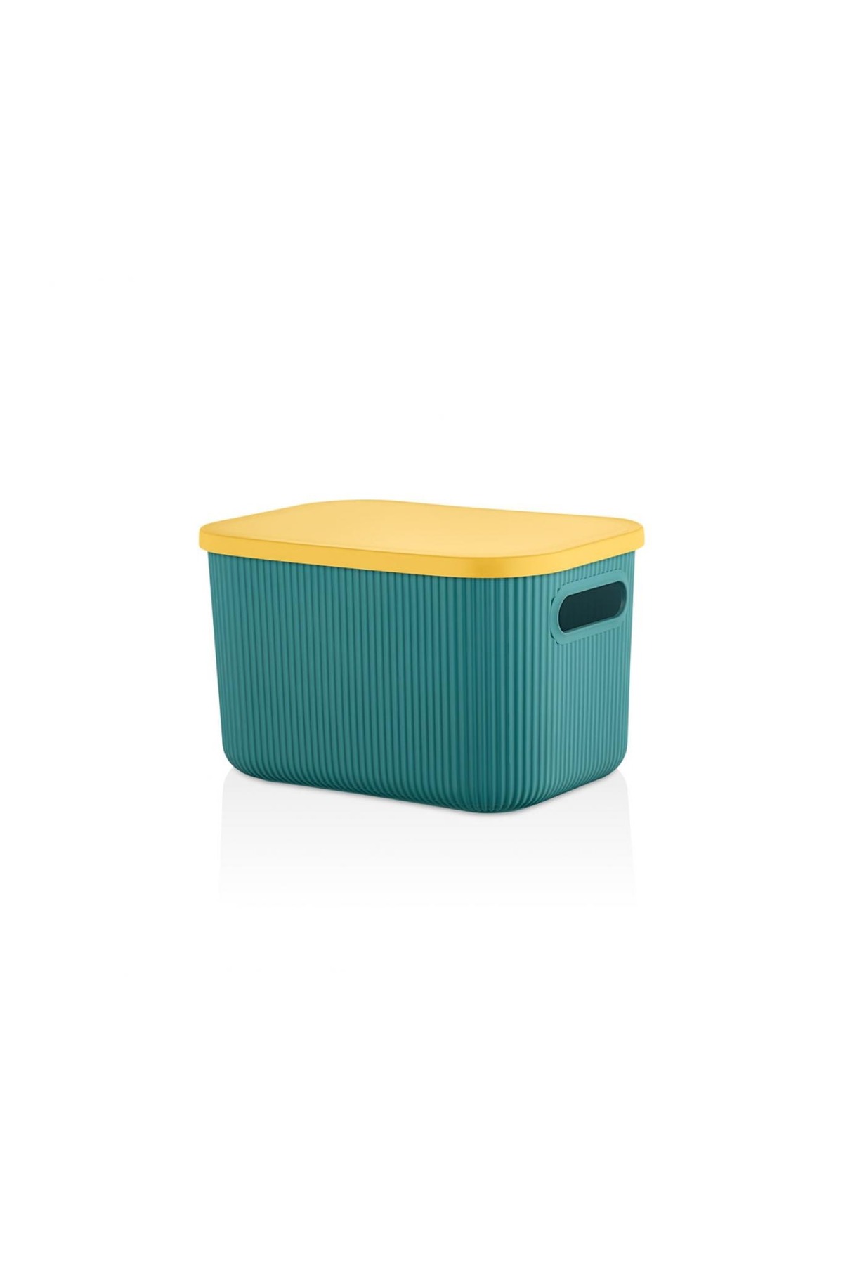 Bayev 2'Li Set Storage 6 + 13 Lt Yeşil Dolap Düzenleyici Kapaklı