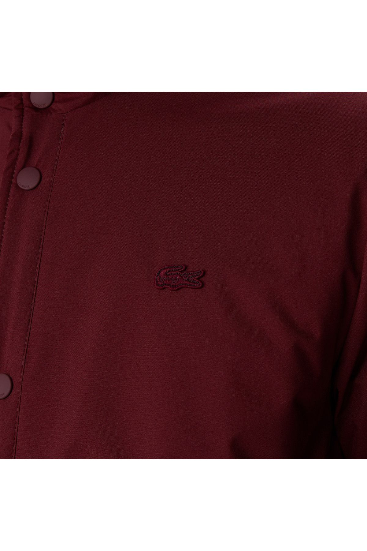 کاپشن قرمز مردانه مانتو یقه دو رو کلارت Lacoste