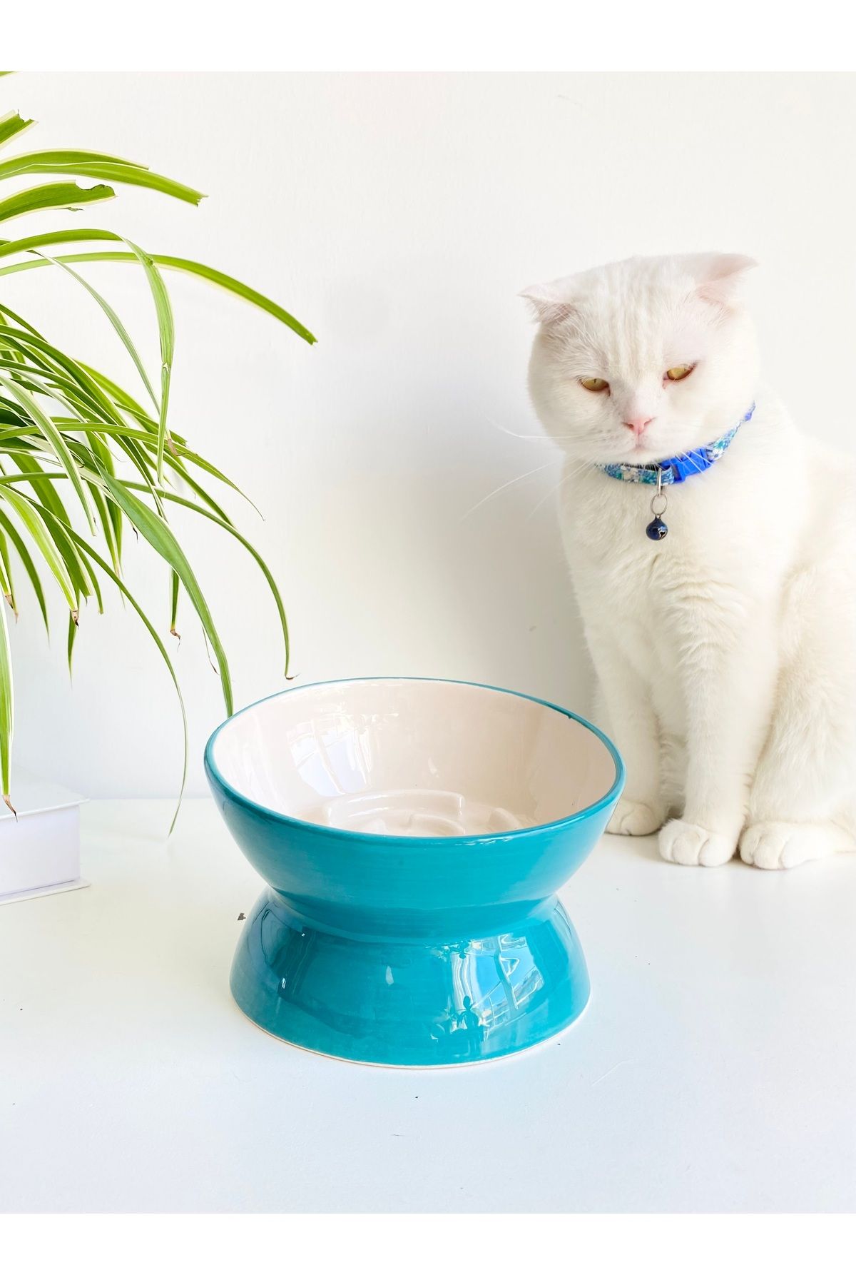 stilinbu-Ceramic Slow Eat Cat Food Bowl (Turquoise) 2