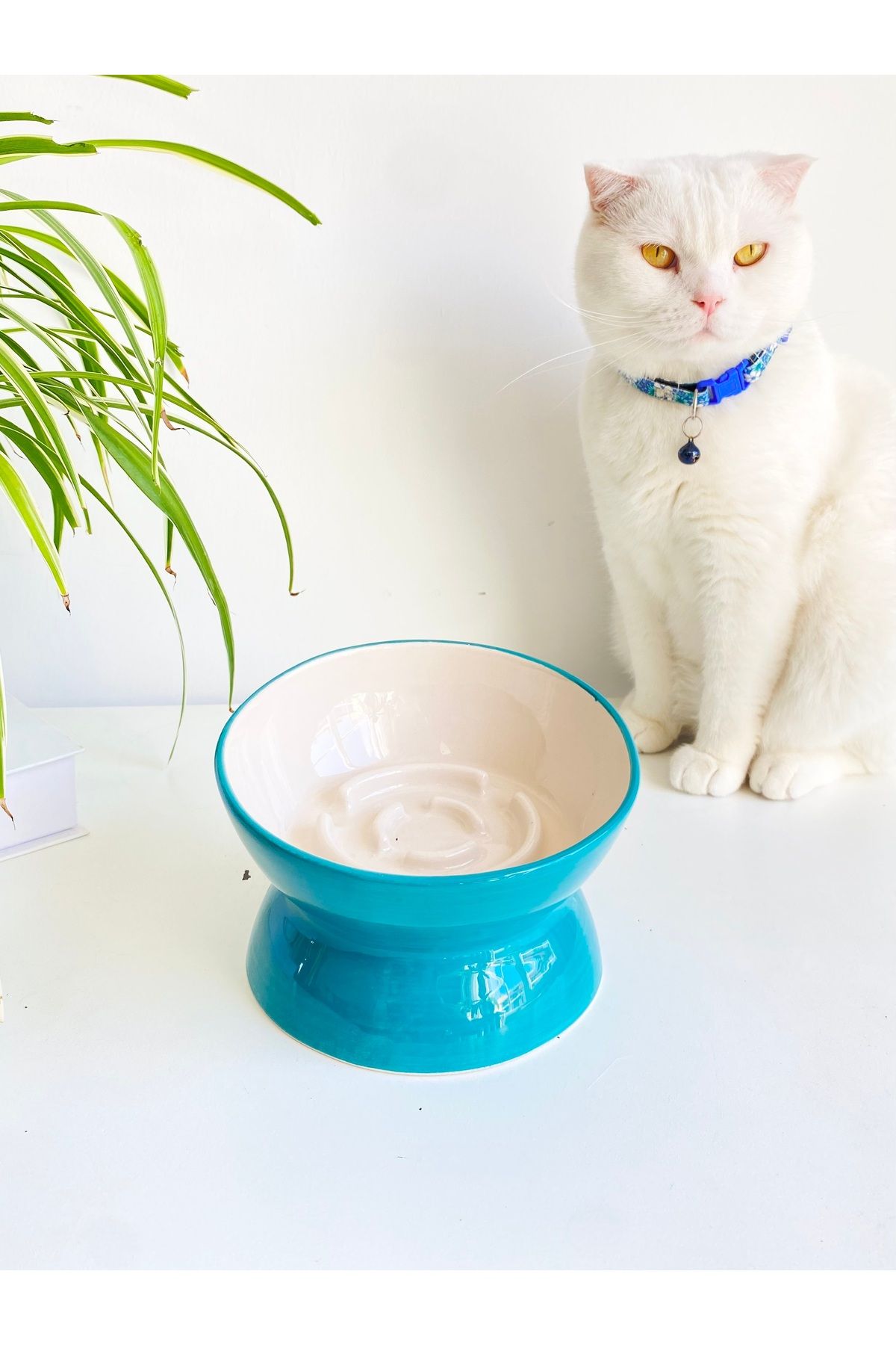 stilinbu-Ceramic Slow Eat Cat Food Bowl (Turquoise) 1