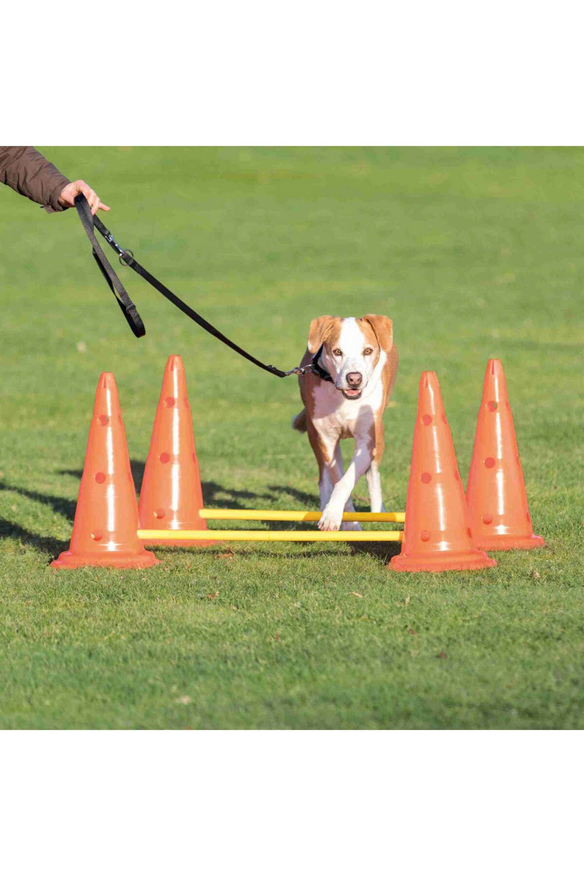 Trixie Köpek Agility Oyuncağı 2 Adet 30X50cm 100cm 562135