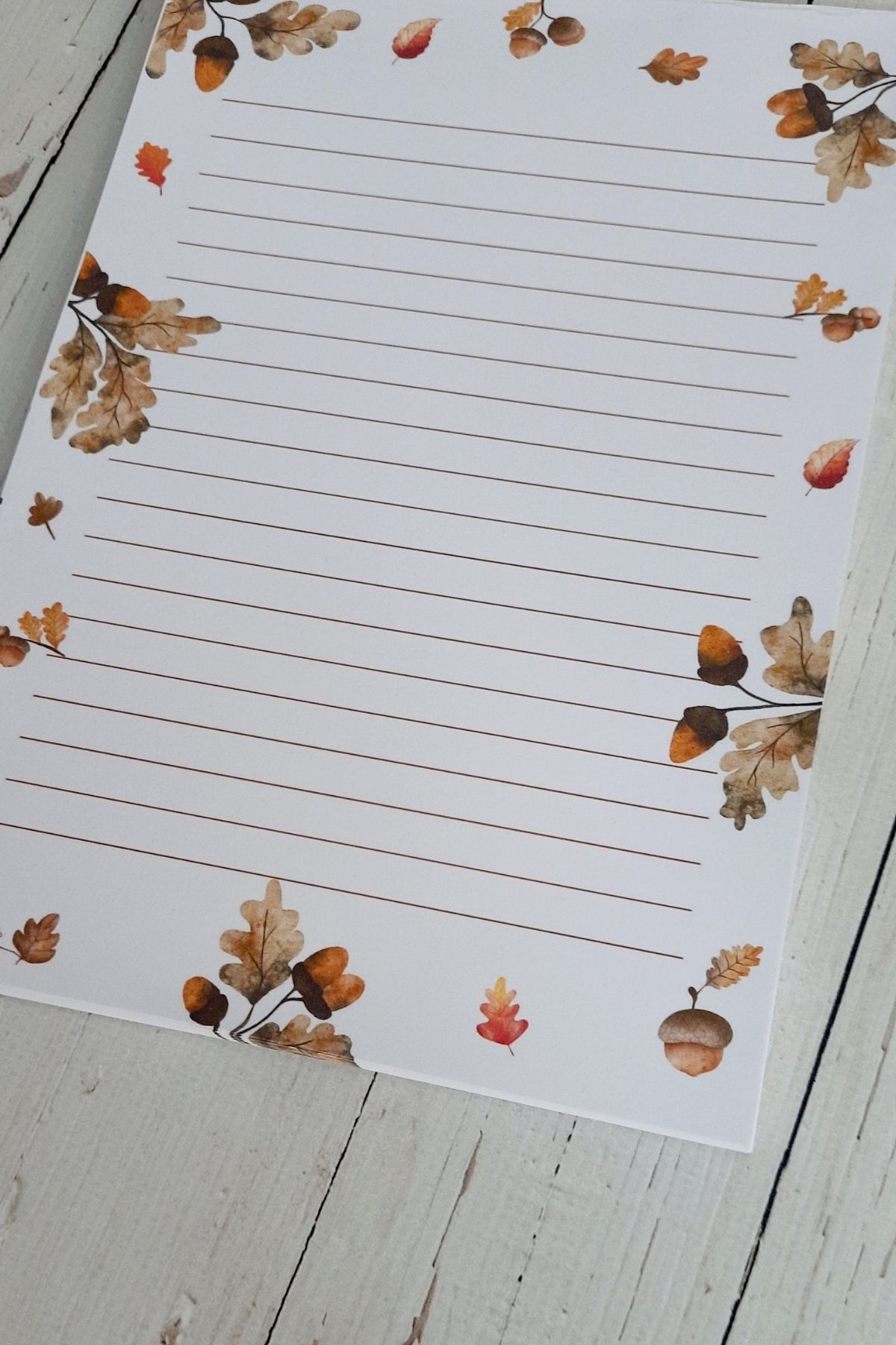 Burak Baskı Tasarım-Acorn A5 Notepad - Memopad, Memo Pad and Notebook for Autumn, Winter and New Year 4