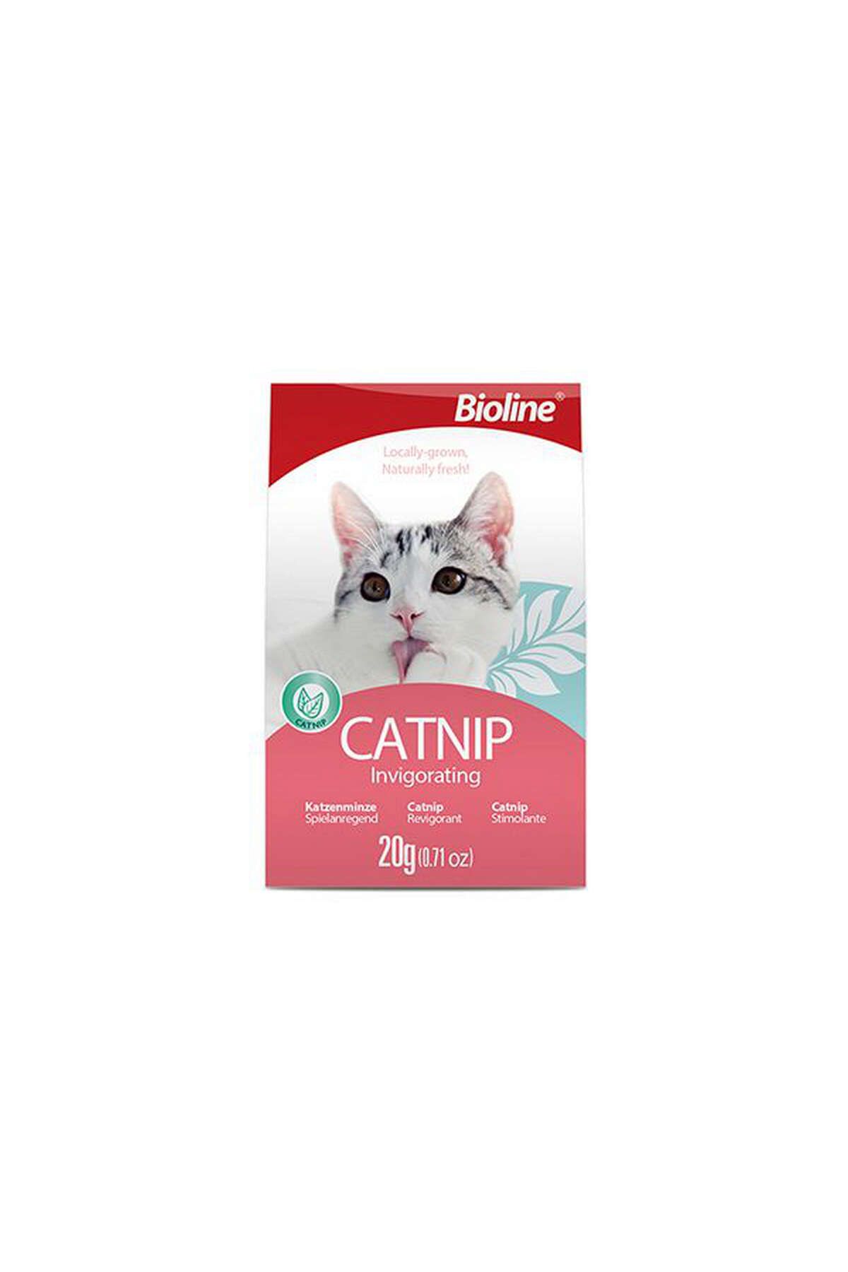 Bioline Catnip 20 Gr YKTSN