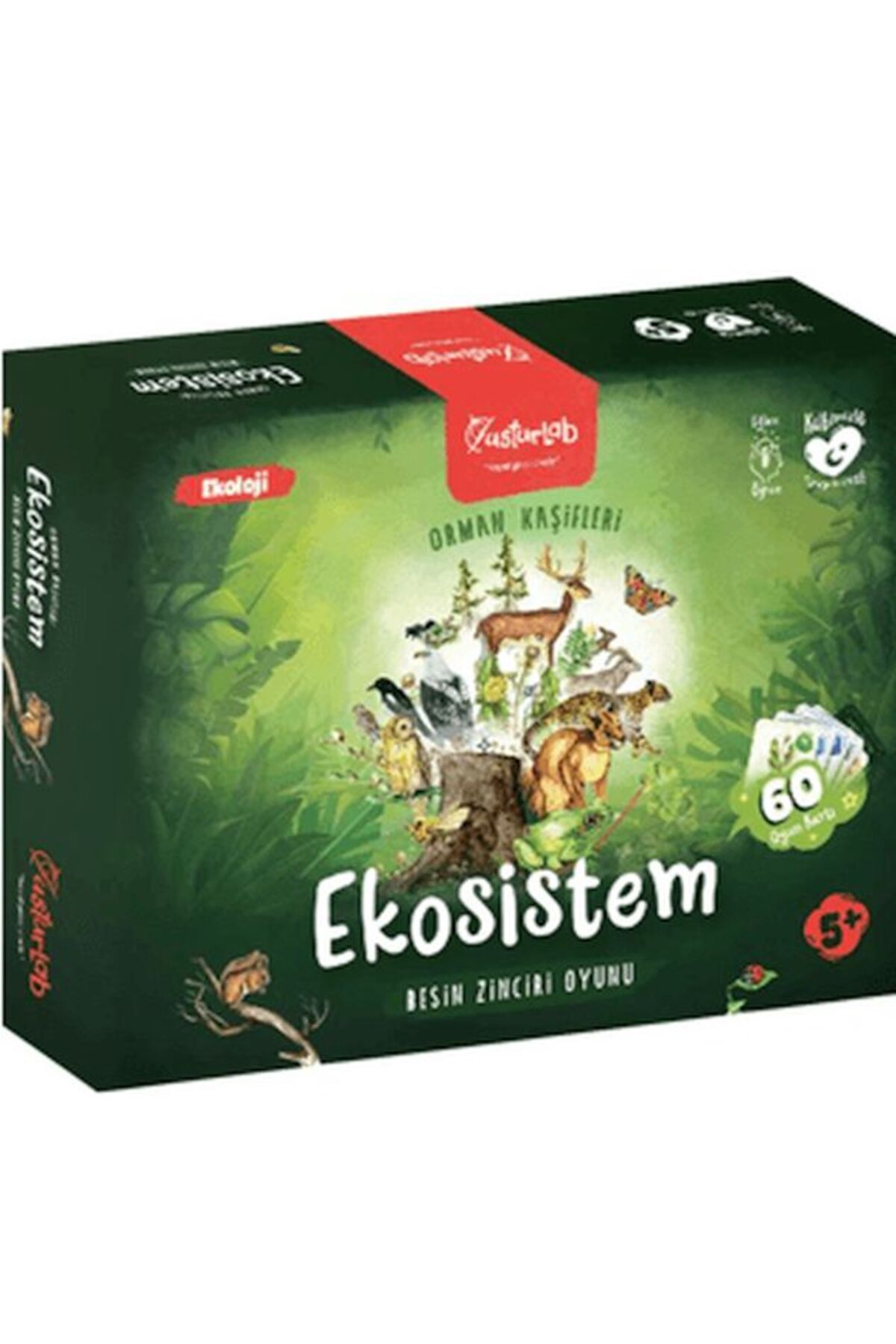 USTURLAB Ekosistem Besin Zinciri Kutu Oyunu Midi