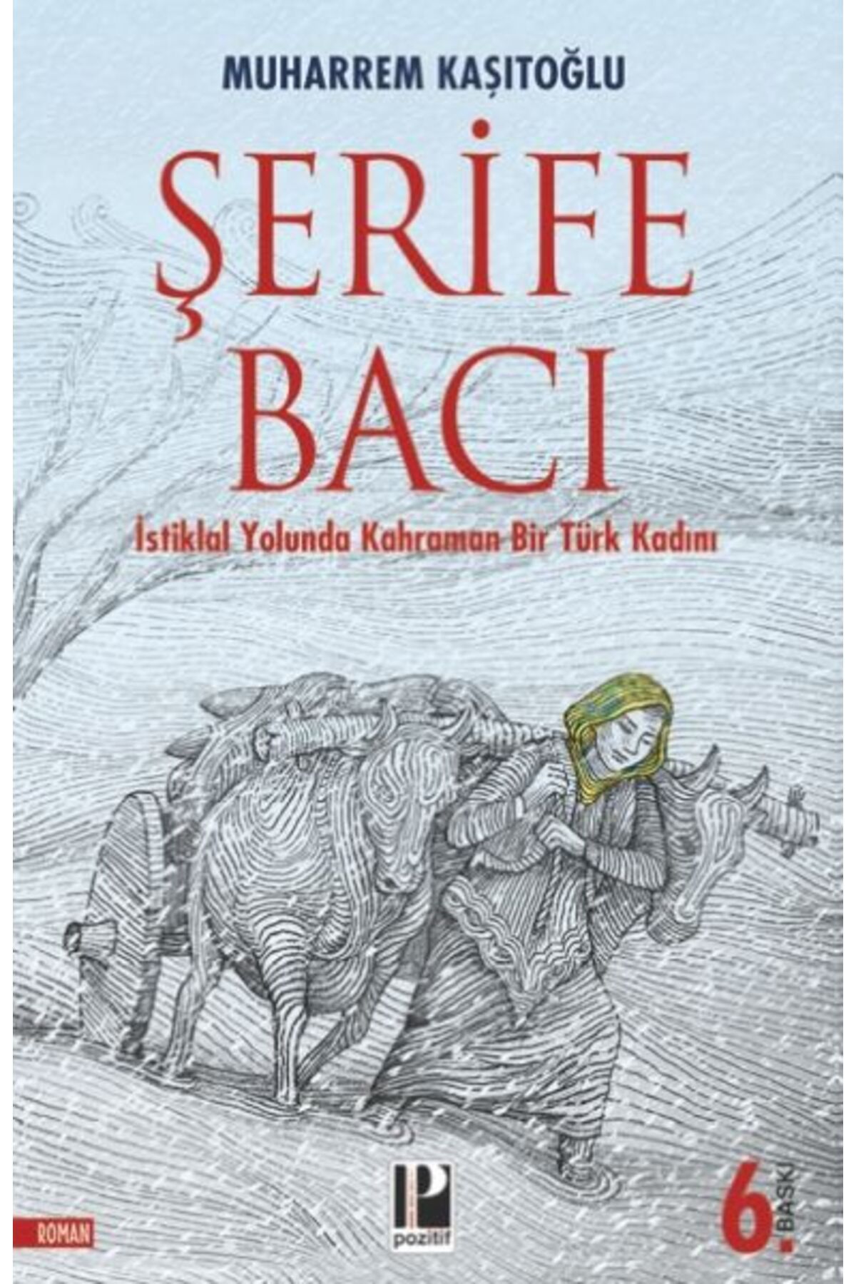 Pozitif Yayınları İstiklal Yolunda Kahraman Bir Türk Kadını