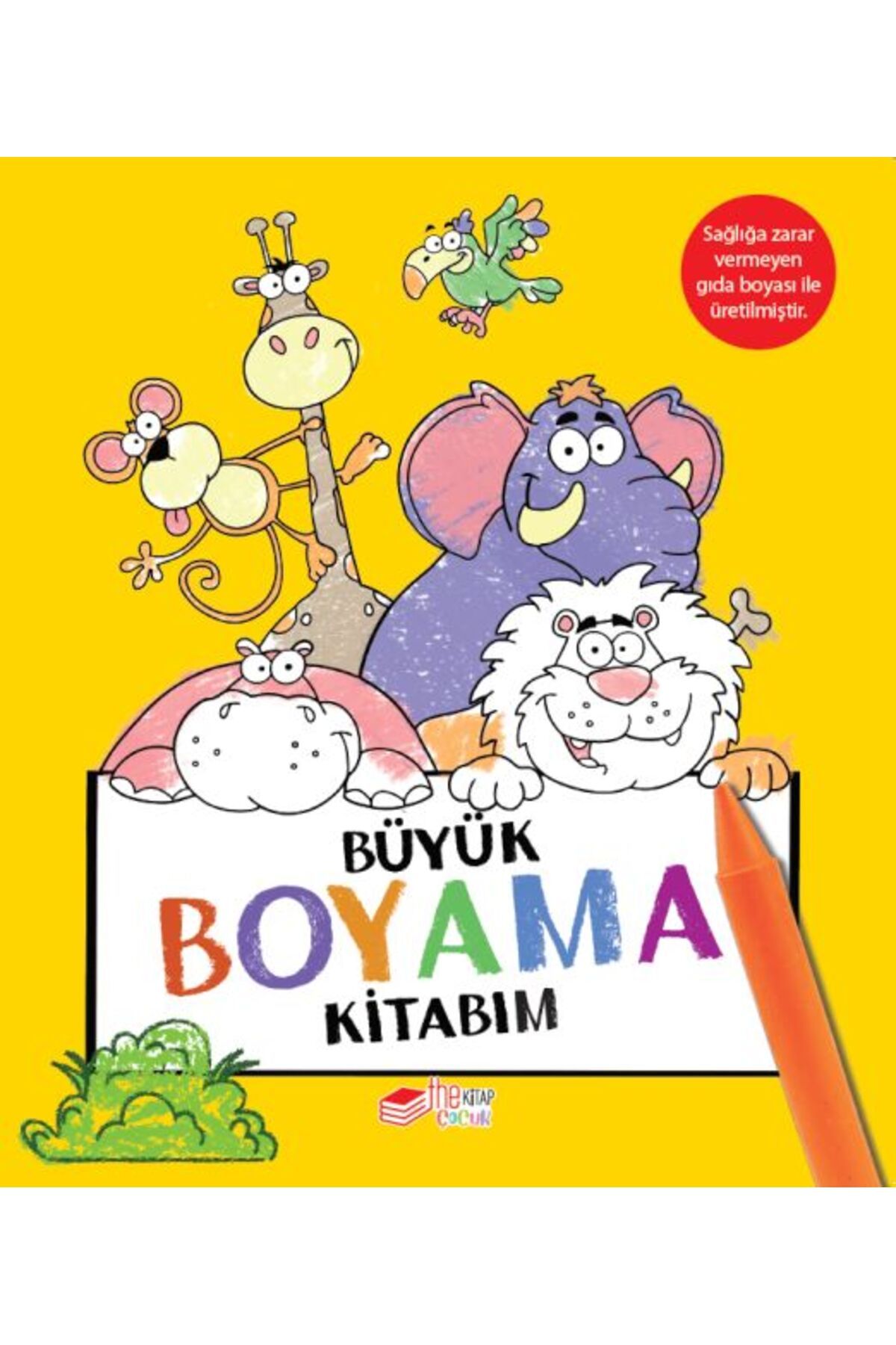 The Çocuk Büyük Boyama Kitabı