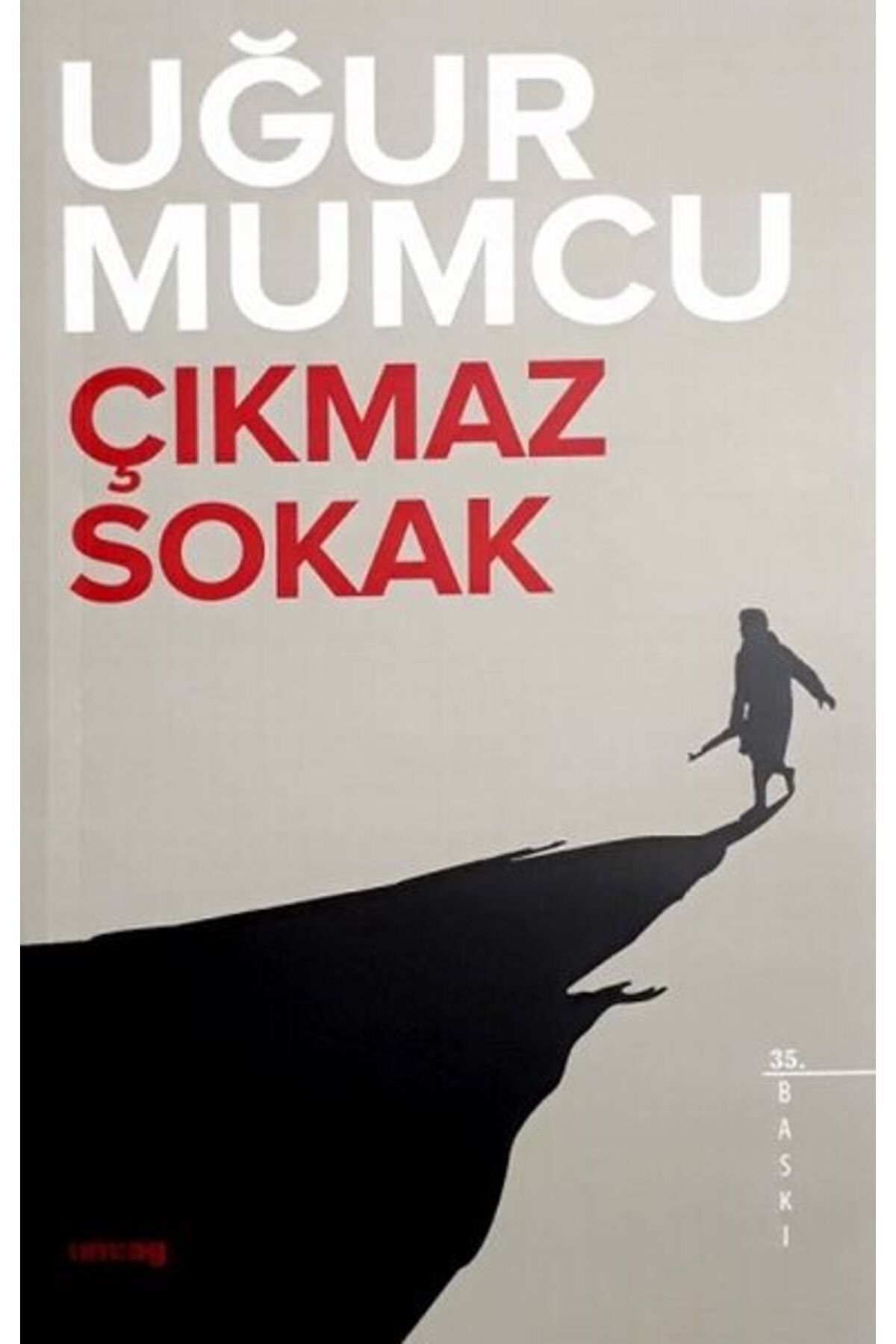 Türk Dil Kurumu Yayınları Çıkmaz Sokak