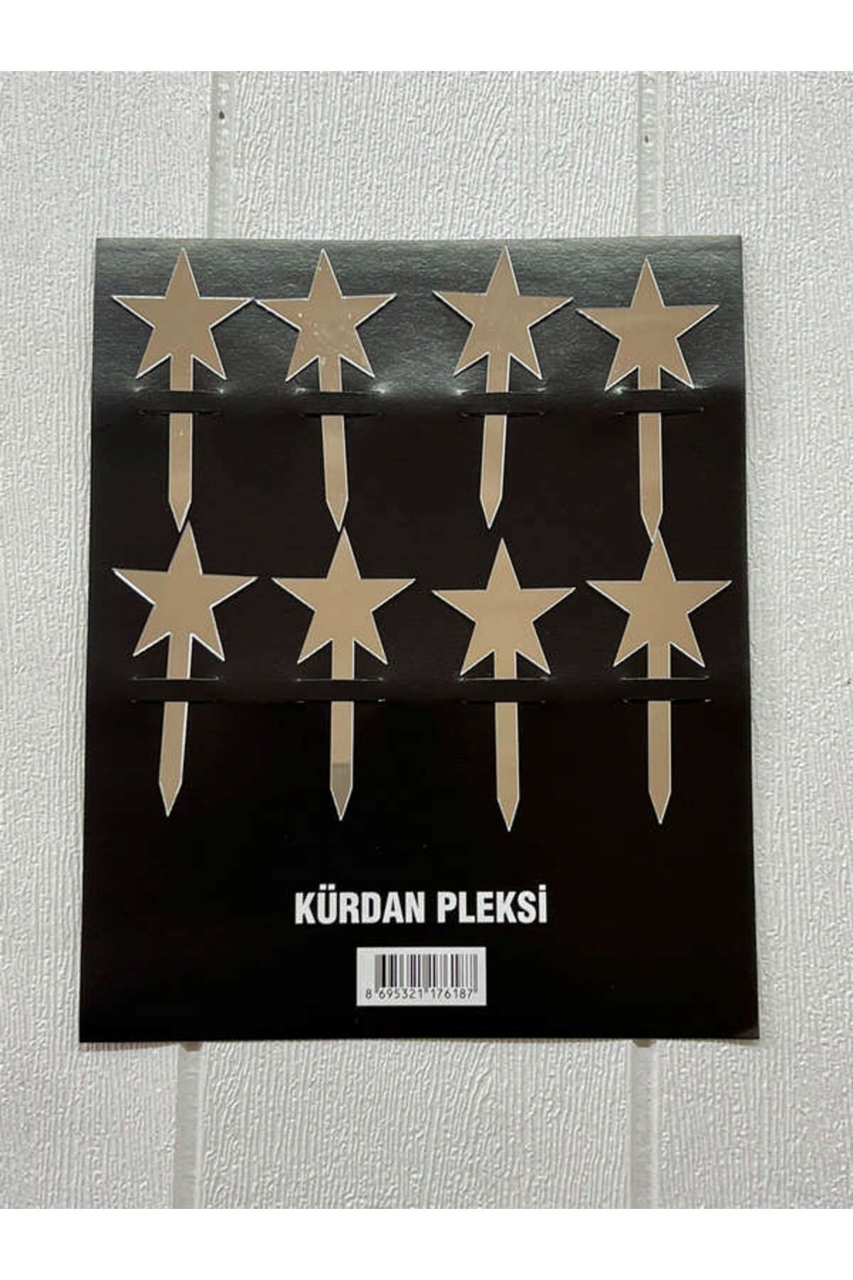 ZERO LAND - 8 adet Yıldız Pleksi Kürdan Gümüş MXPMA