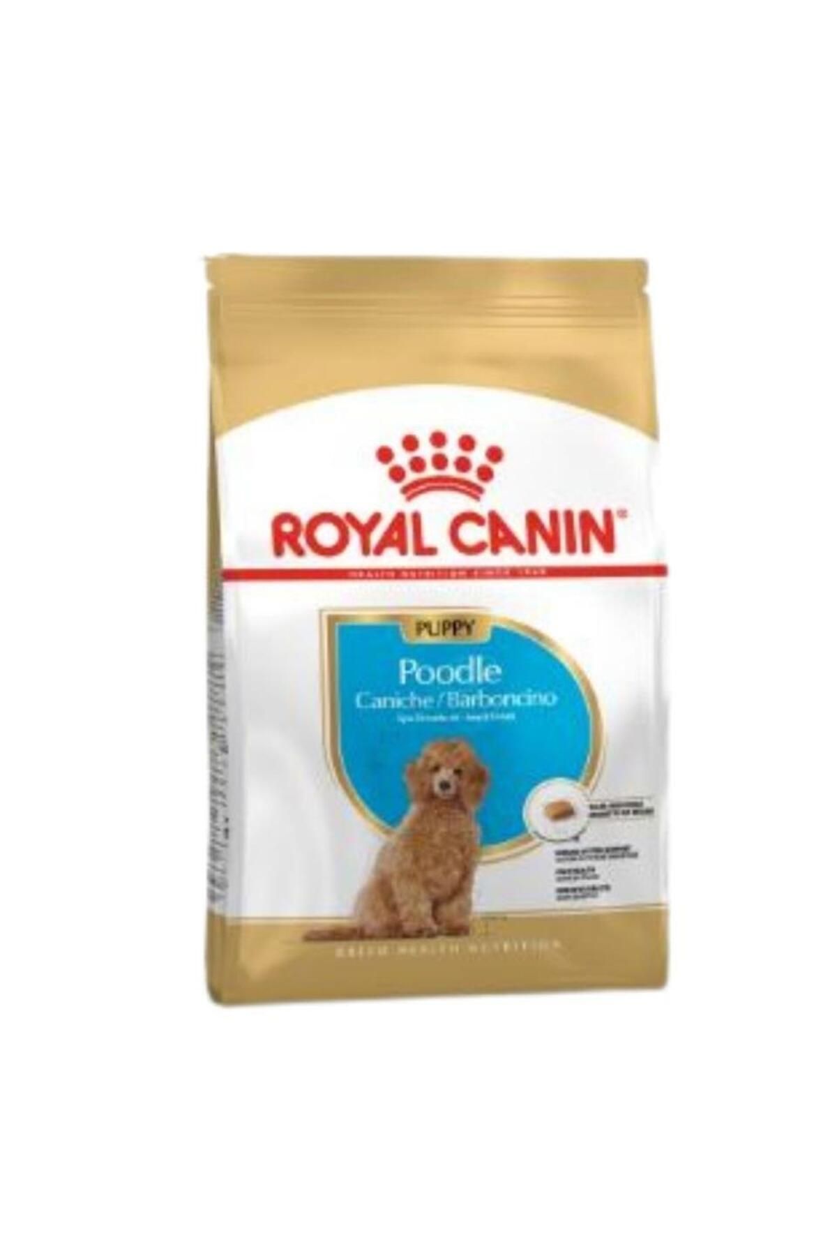 Royal Canin Dog Bhn Poodle Junior Köpek Maması 3 Kg