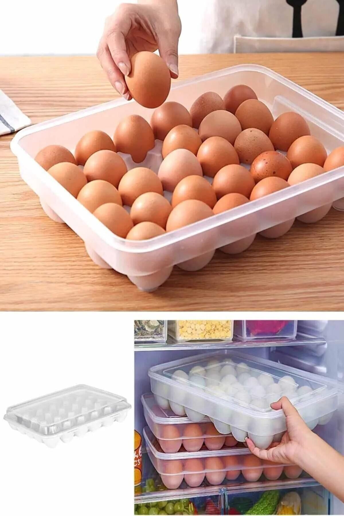 Albayrak 30 Yumurta Kapasiteli Yumurta Saklama Kabı -Kapaklı Pratik Yumurta Saklama Kutusu-Yumurta Organizeri