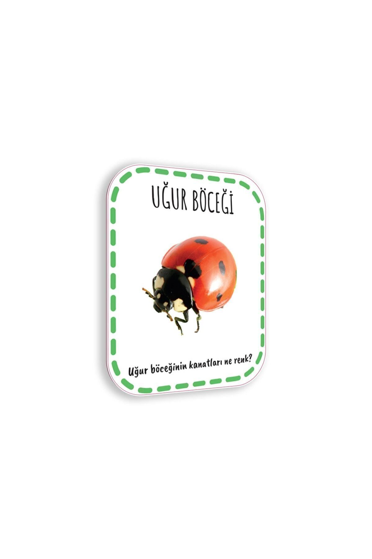 Çocuk Akademi Ilk Adım Zeka Kartı Hayvanlar fotoğrafı 6 (önizleme)