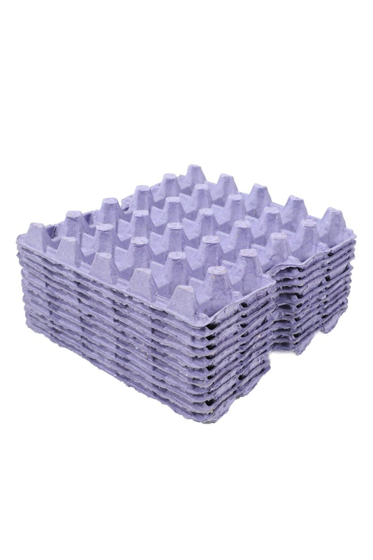 İnci 20 LBS YUMURTA VİYOLÜ DOĞAL RENK 30'LU(100 ADET)