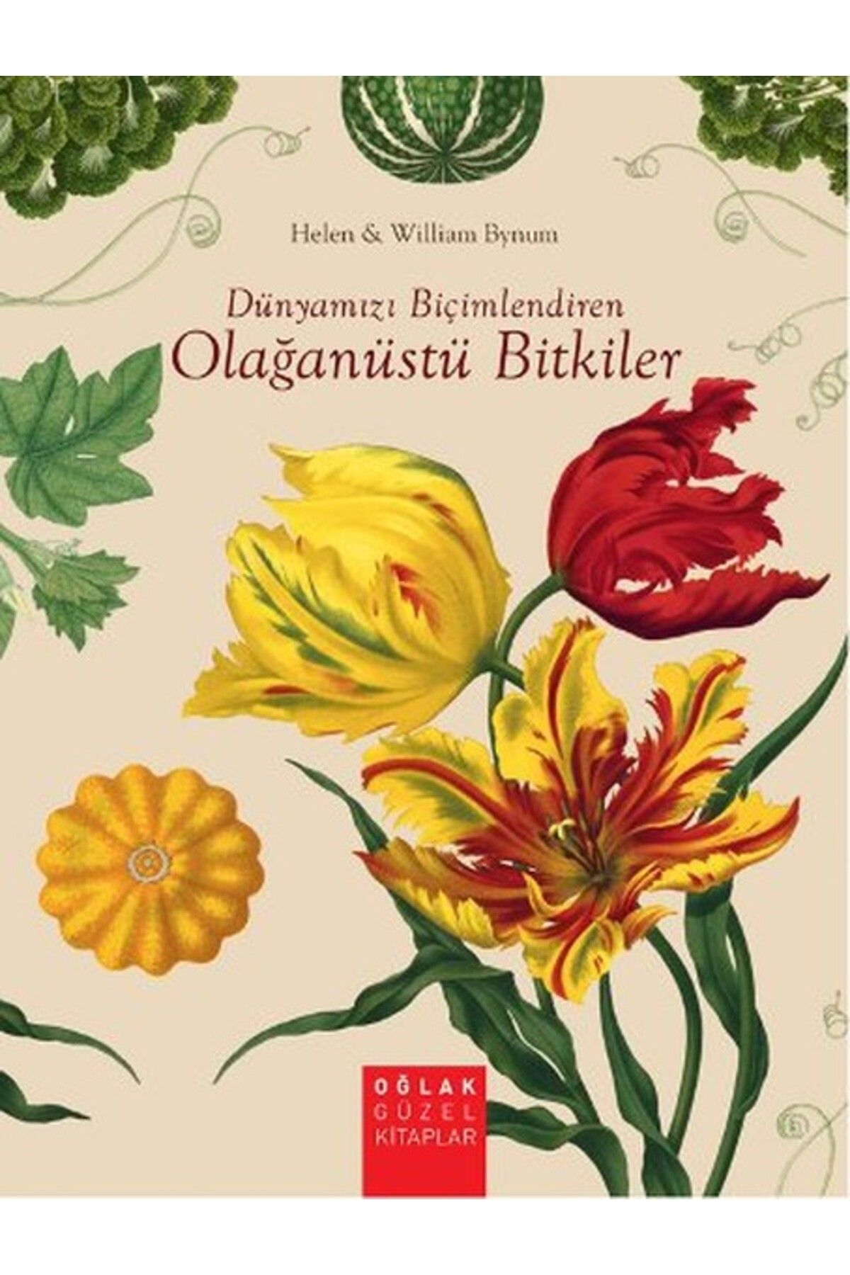 Türk Dil Kurumu Yayınları Dünyamızı Biçimlendiren Olağanüstü Bitkiler