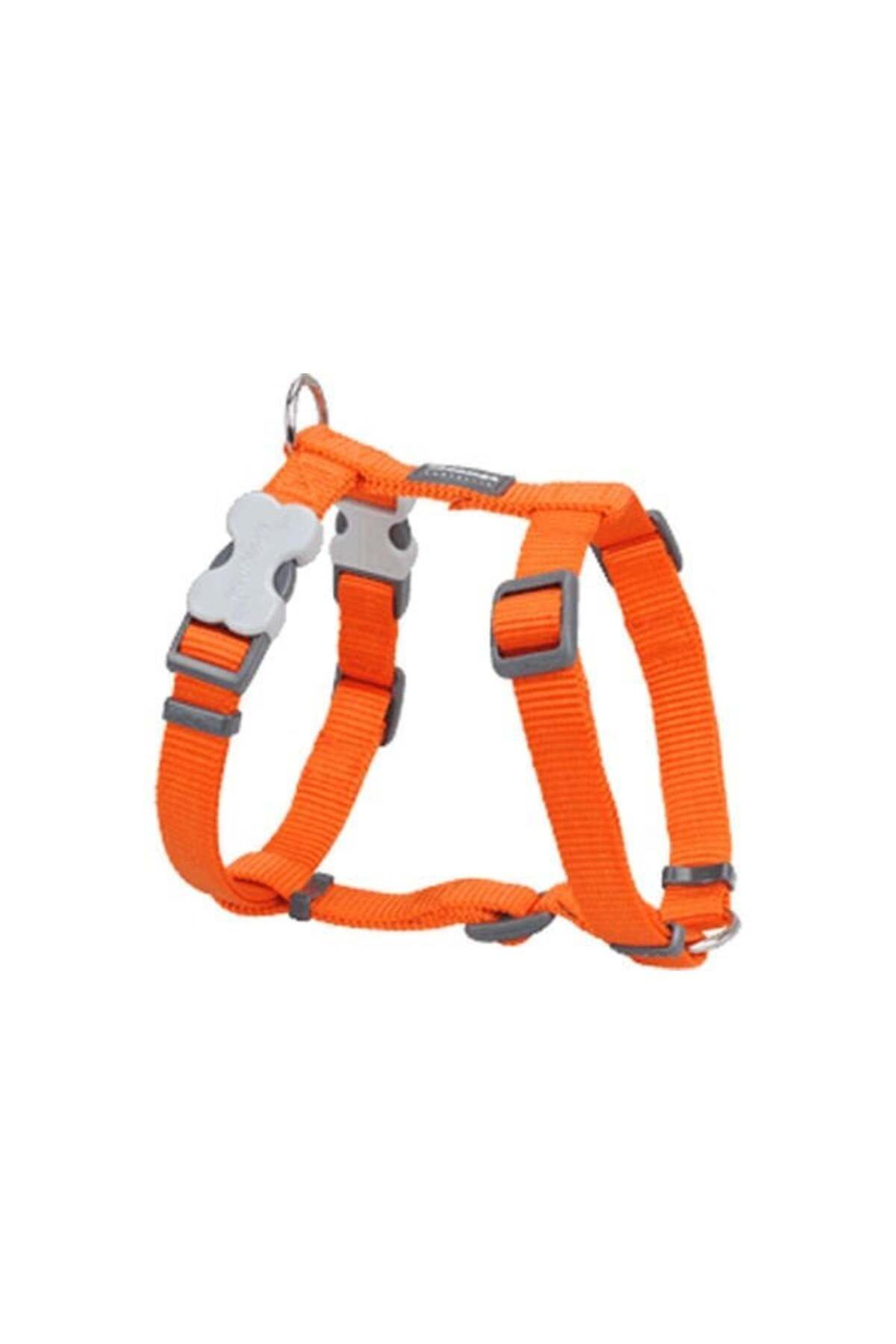 RedDingo Turuncu - 12 mm (Xs) - Petshopundan