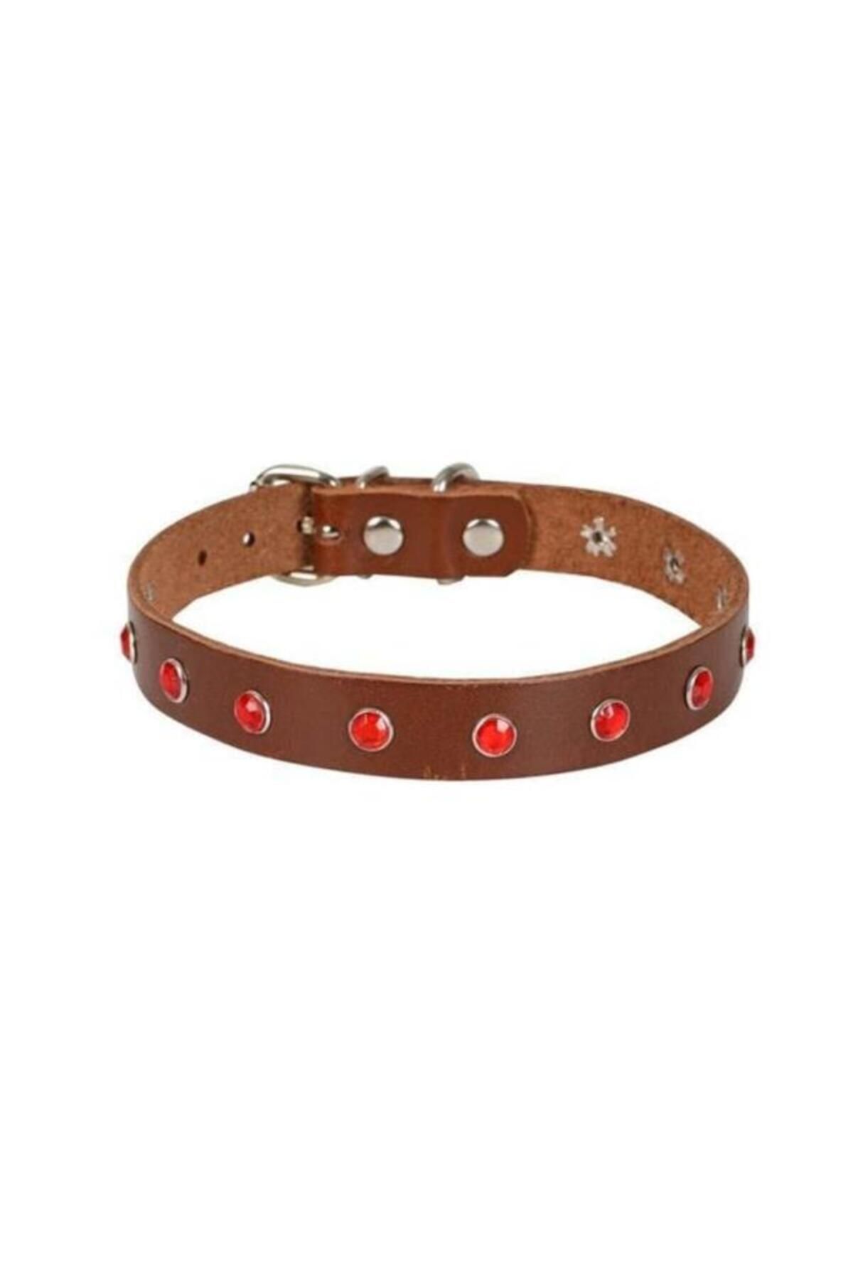 O Cat Cattie Gerçek Deriden Taşlı Kedi Boyun Tasması Xlarge Kahverengi 1.5x26-31 Cm - Petshopundan