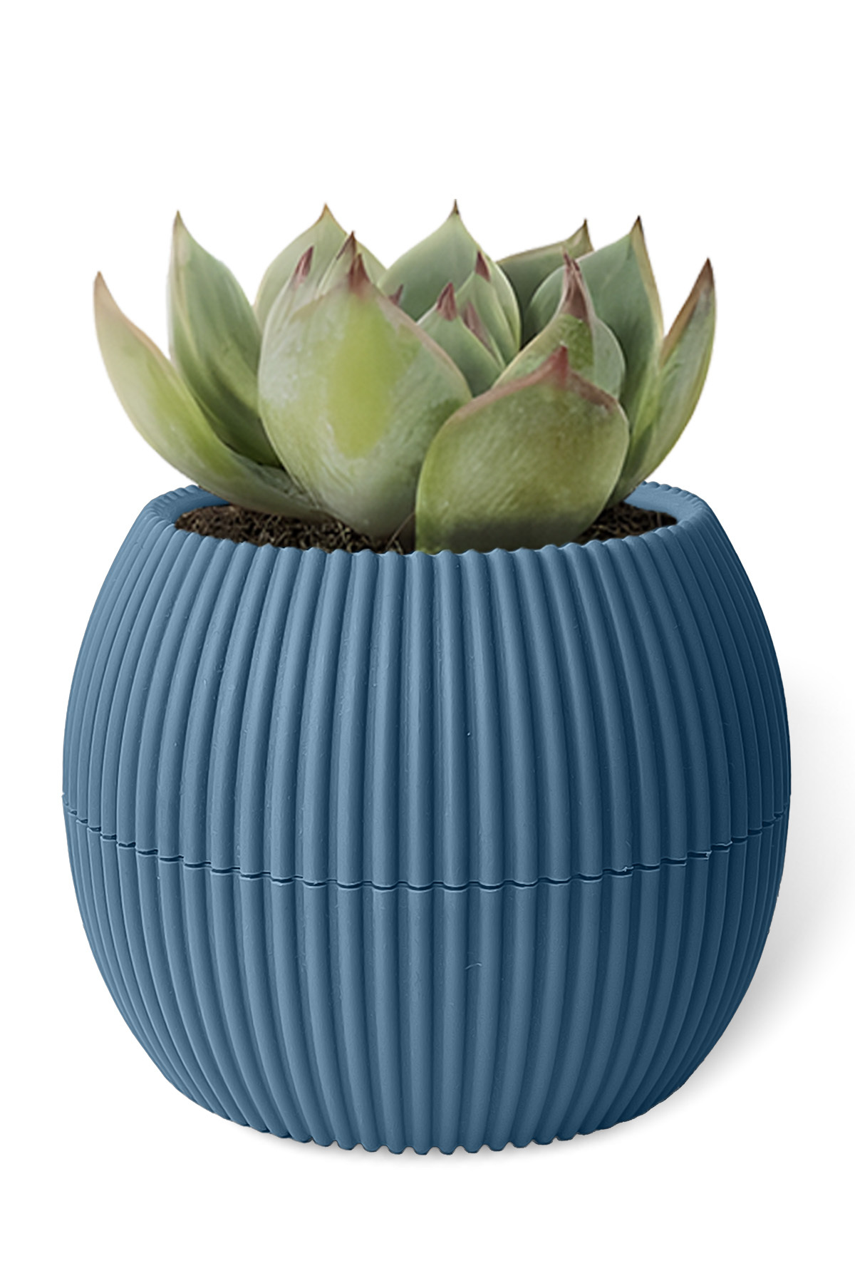 ToXA 0.35 Litre Antrasit Küçük Boy Yuvarlak Plastik Mercan No2