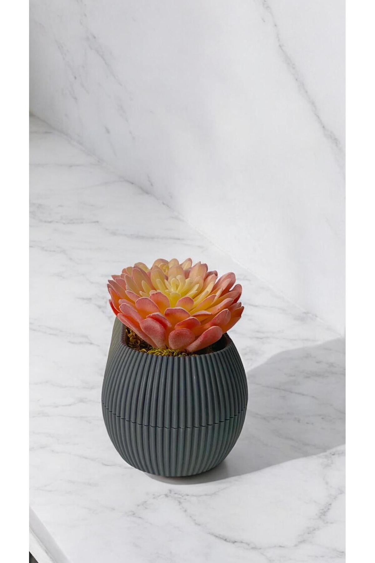 DDTREND Cactus artificial Sempervivum Tomentosum Suculent Gri