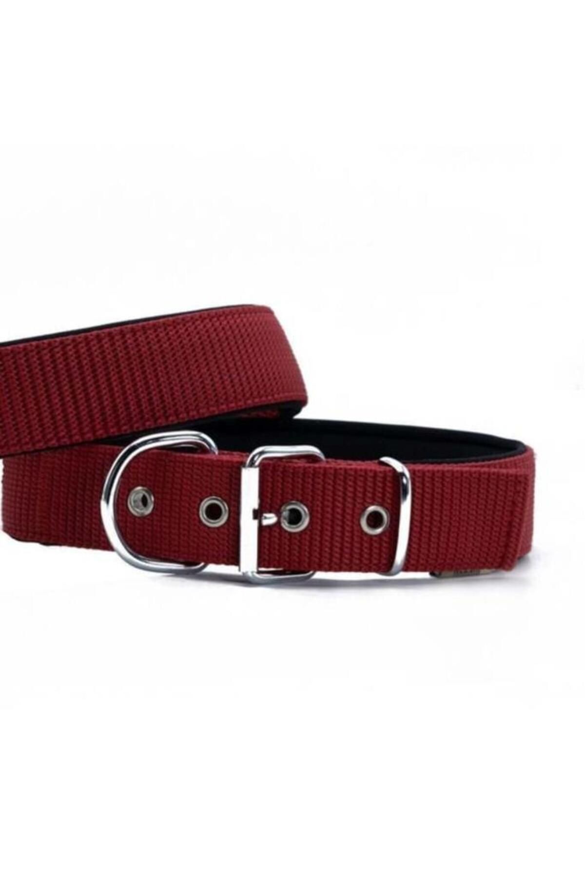 O Dog Doggie Elit Dokuma Köpek Boyun Tasması Large Kırmızı 5x60-70 Cm - 5909996