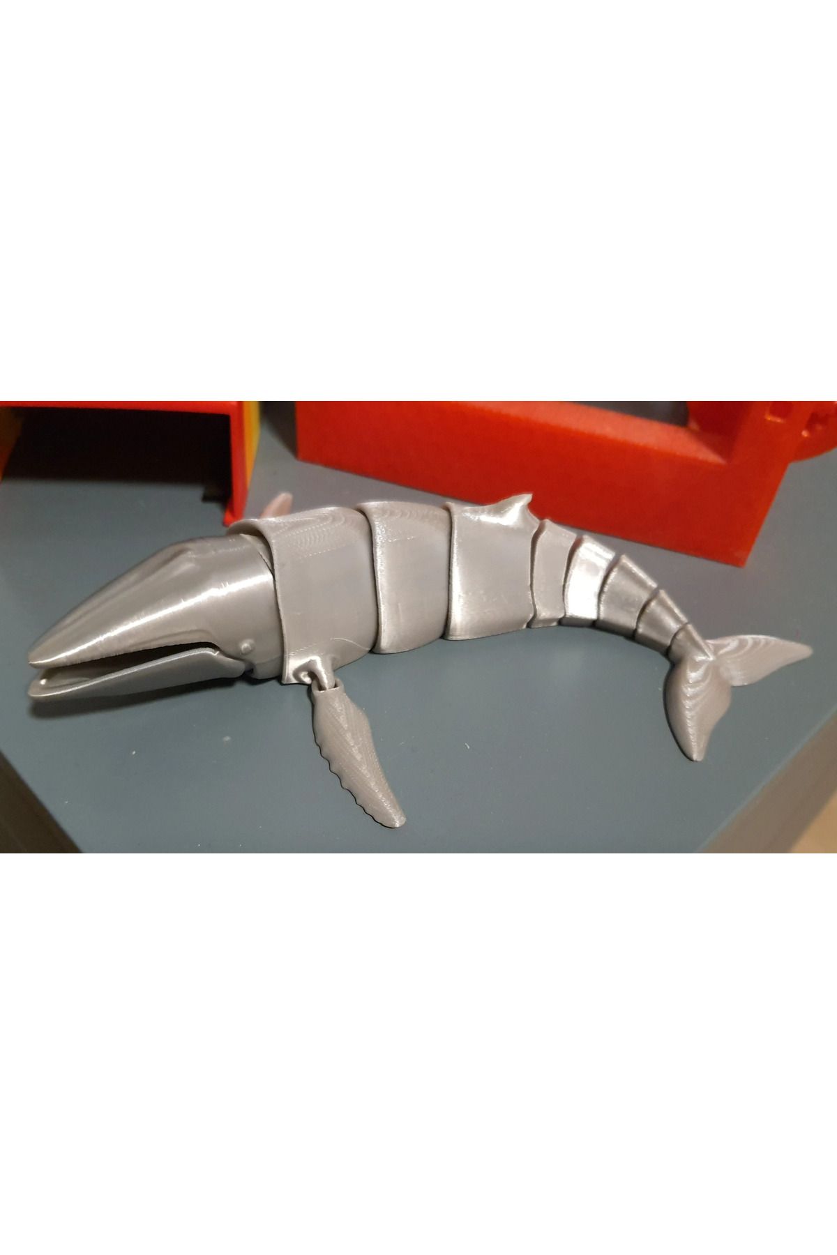 Vision Craft Fi Kambur Balina T6312135