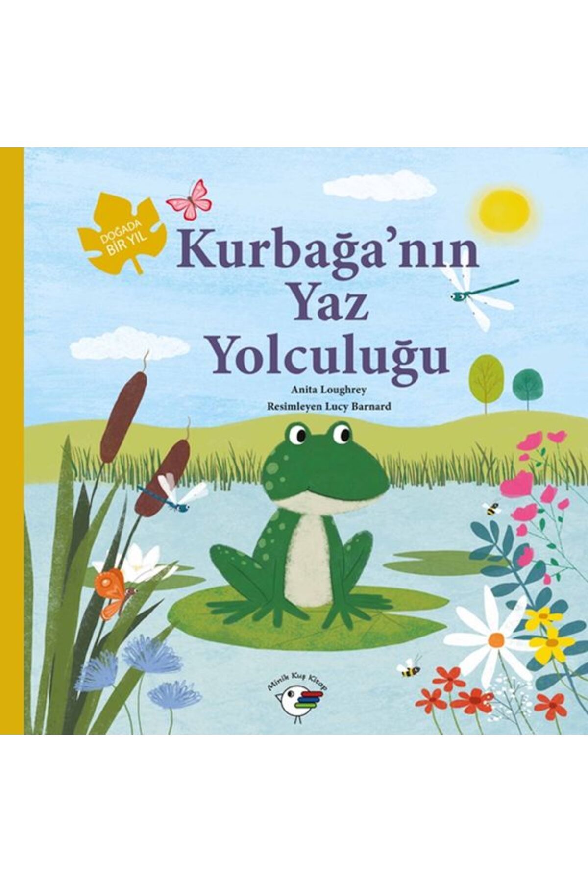 Minik Kuş Kitap Kurbağa’nın Yaz Yolculuğu – Doğada Bir Yıl