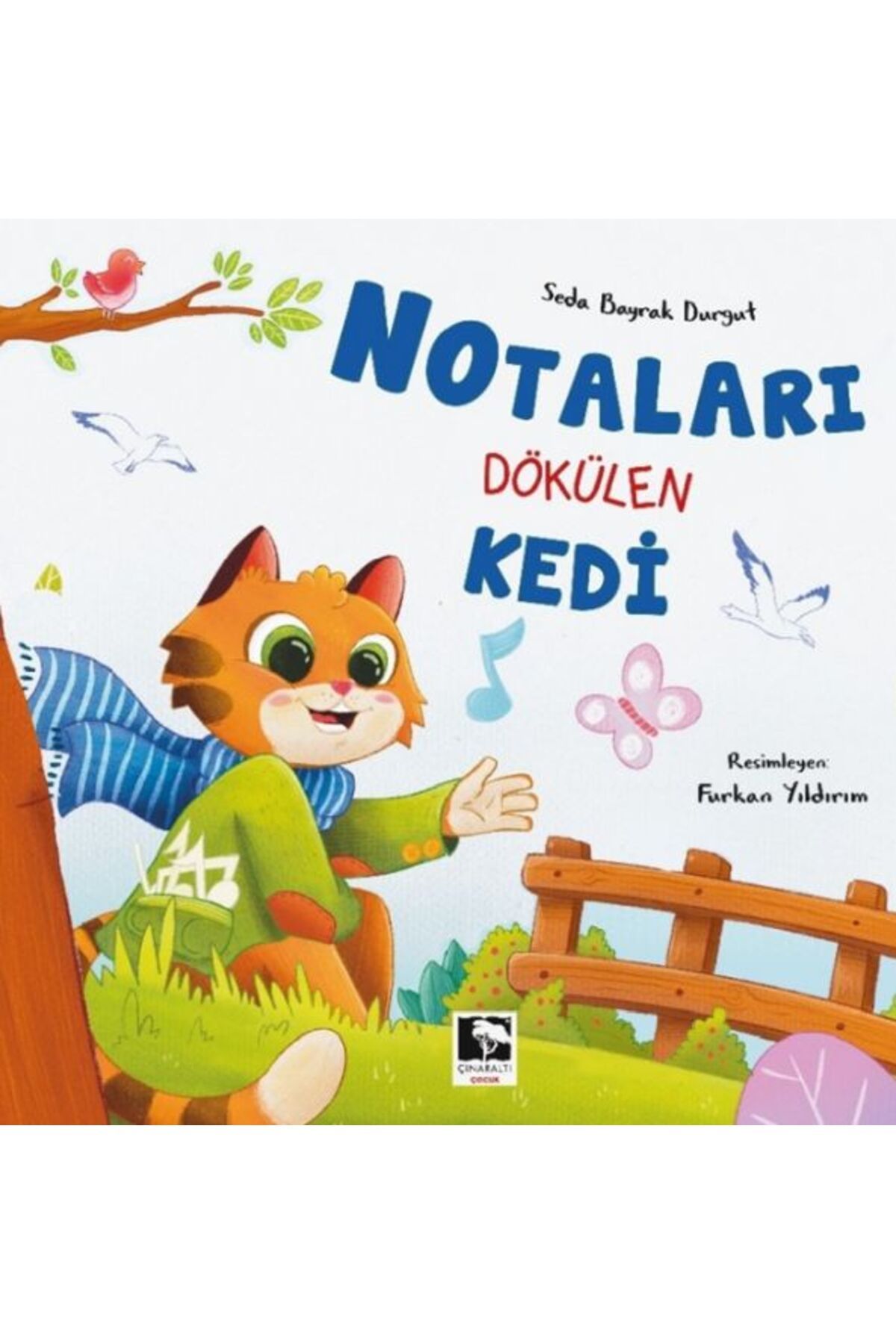 Çınaraltı Yayınları Notaları Dökülen Kedi