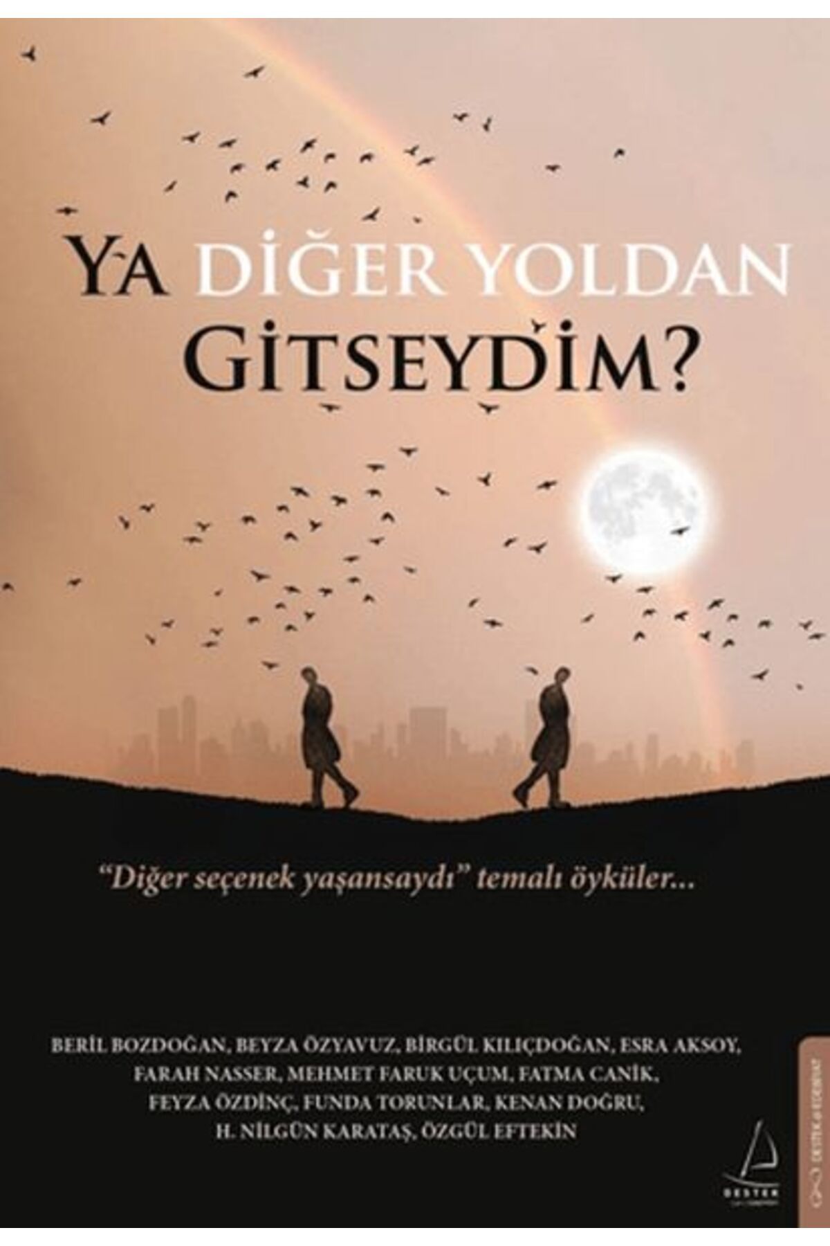Destek Yayınları Ya Diğer Yoldan Gitseydim?