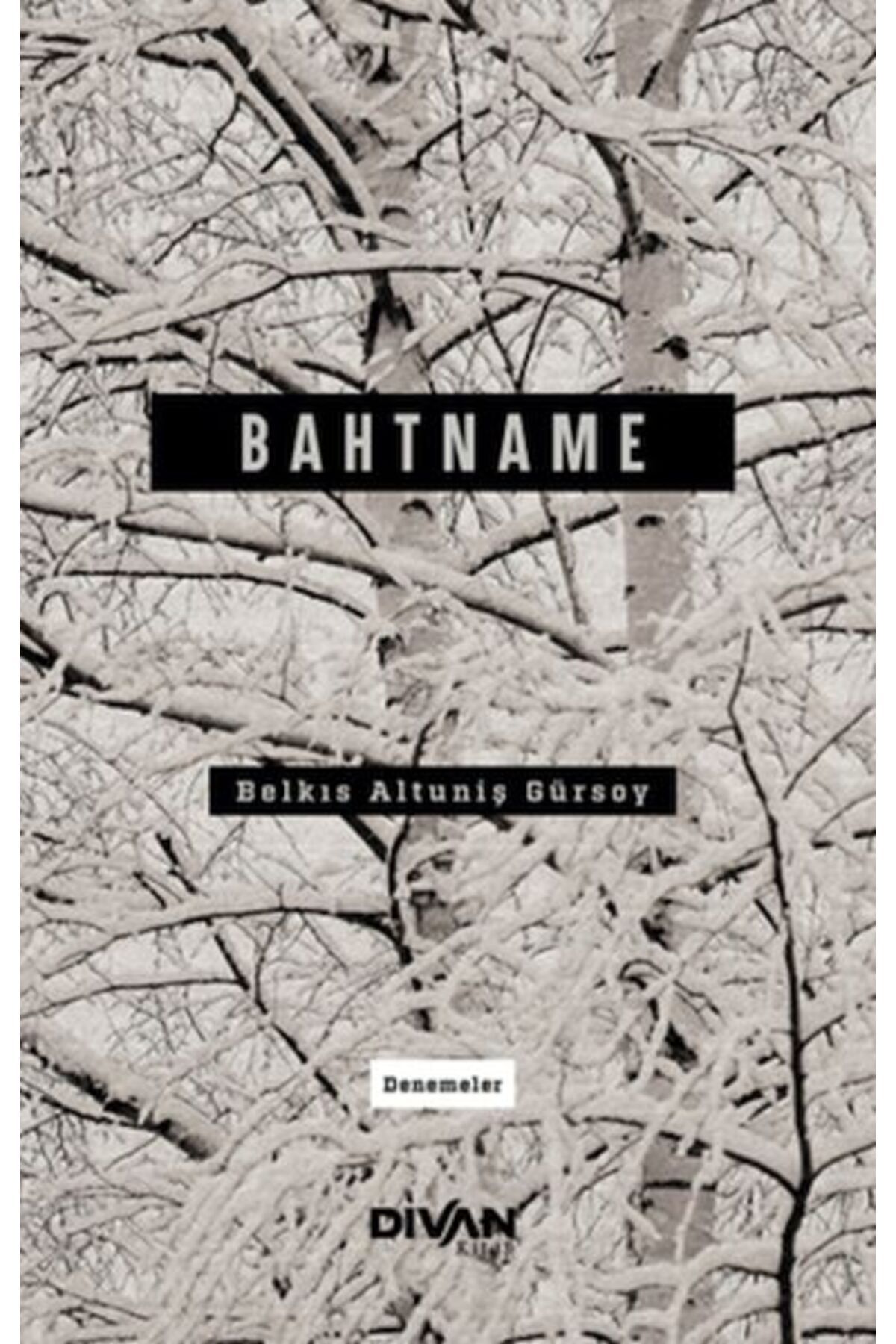 Divan Kitap Bahtname