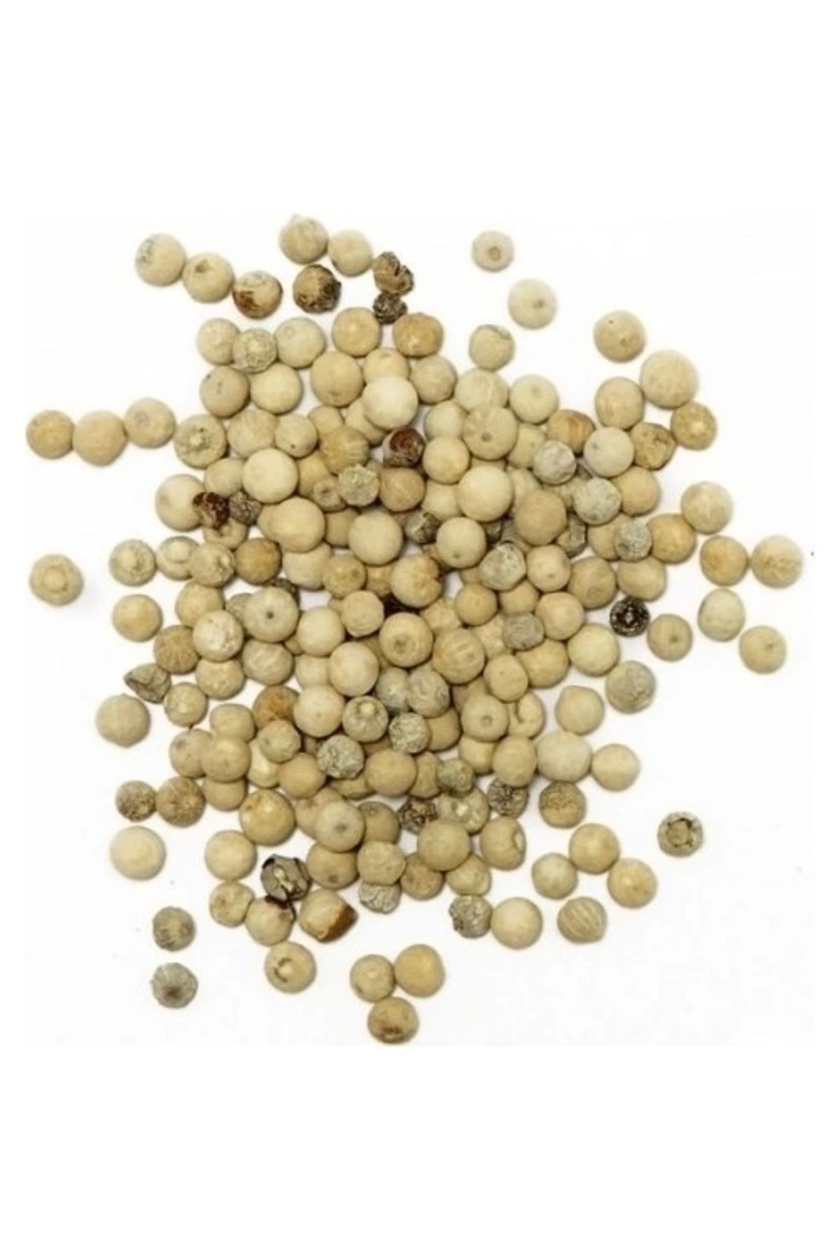 DVD Lokman Aktar-Lokman Aktar White Black Pepper Grain (Akbiber) 1 kg 2