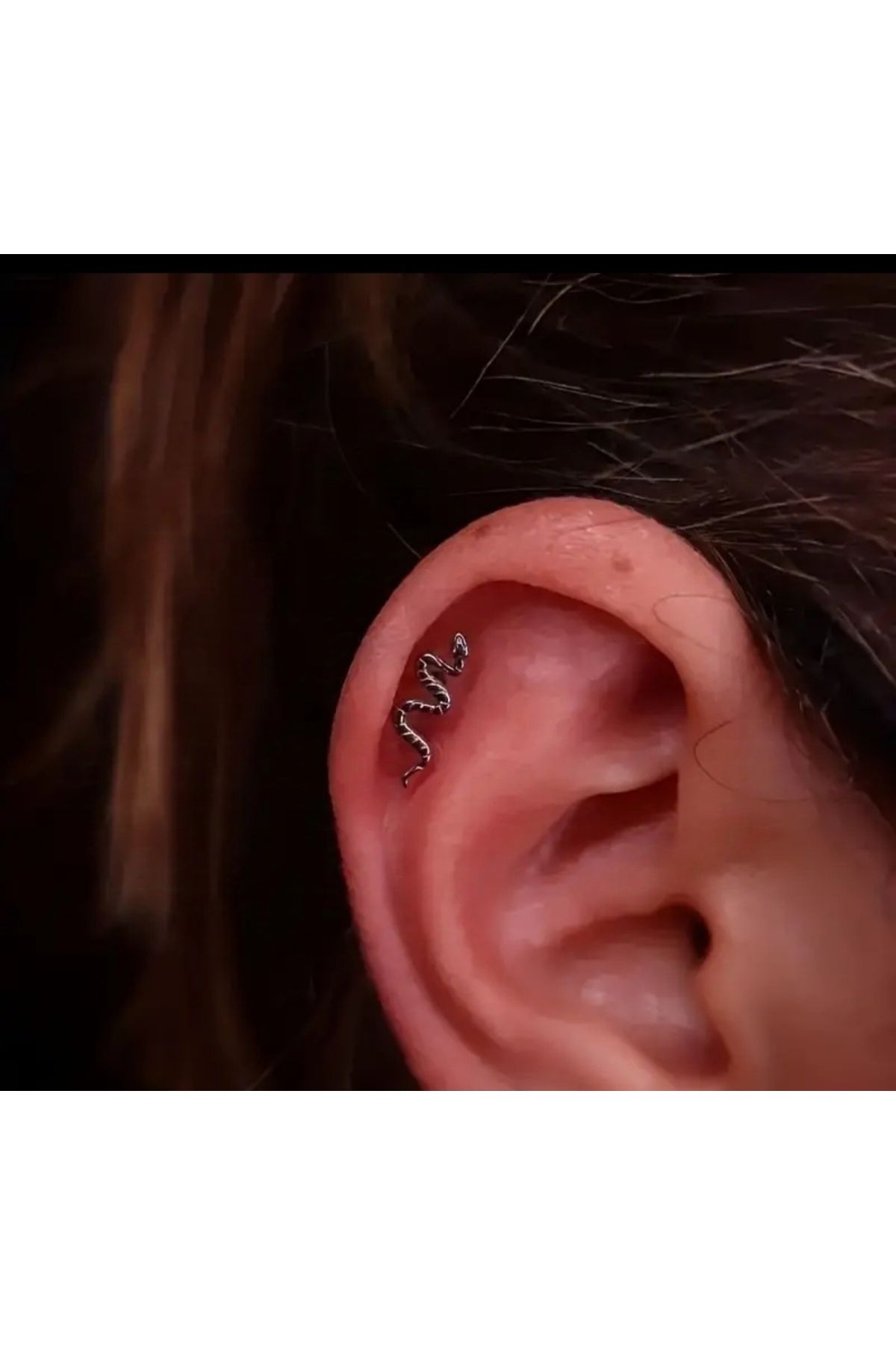 DCPİERCİNG-Snake Steel Helix Conch Piercing - Tragus Design 4