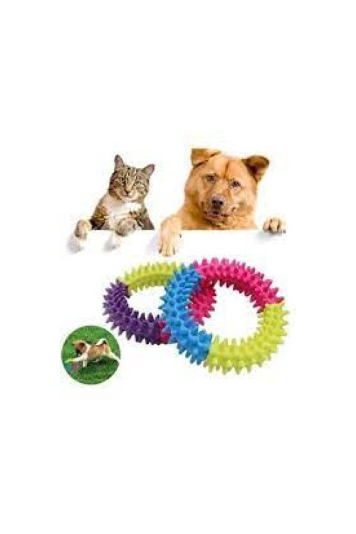 Koy Sepete Köpek Isırma Kaşıma Çemberi 9,5 Cm