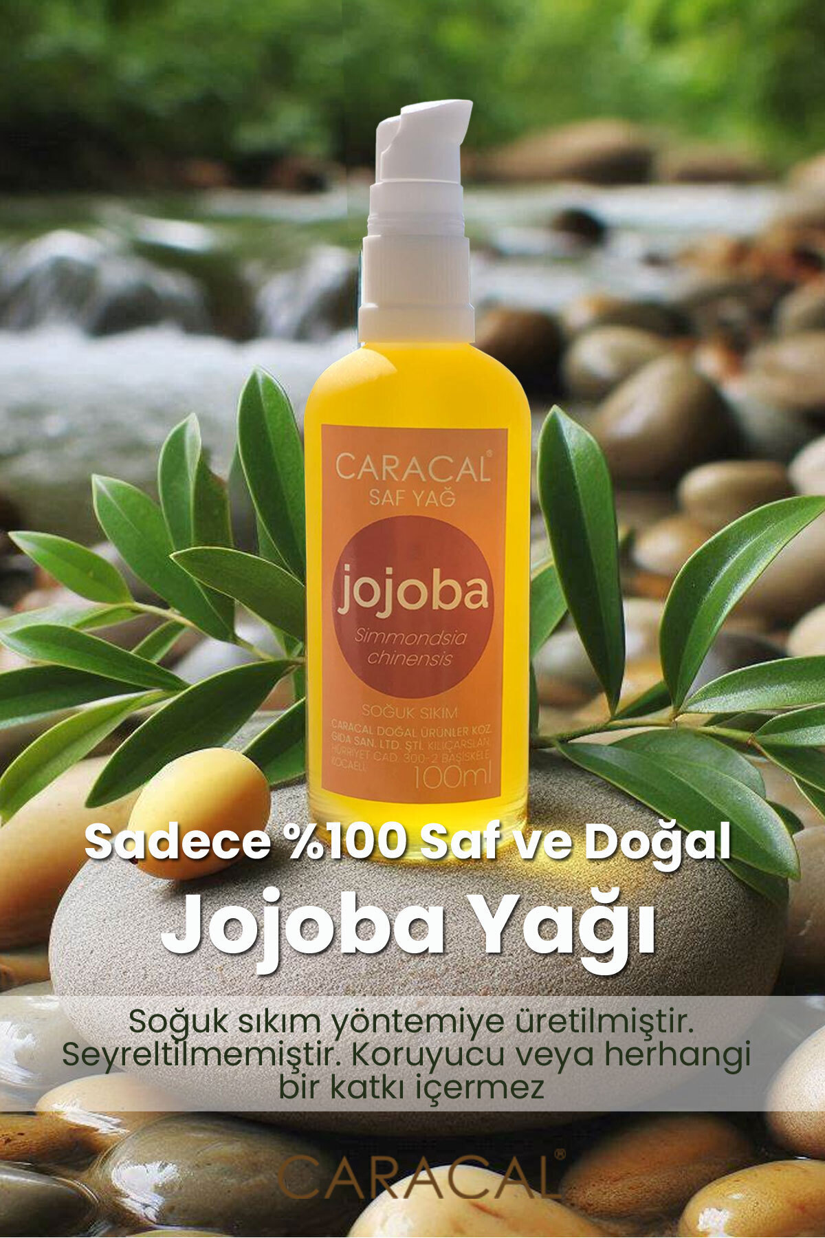100ml Saf Soğuk Sıkım Jojoba Yağı Simmondsia Chinensis Doğal Ve Katkısız — SOĞUK SIKIM JOJOBA YAĞI SAÇ BAKIM — تصویر 2 از 4