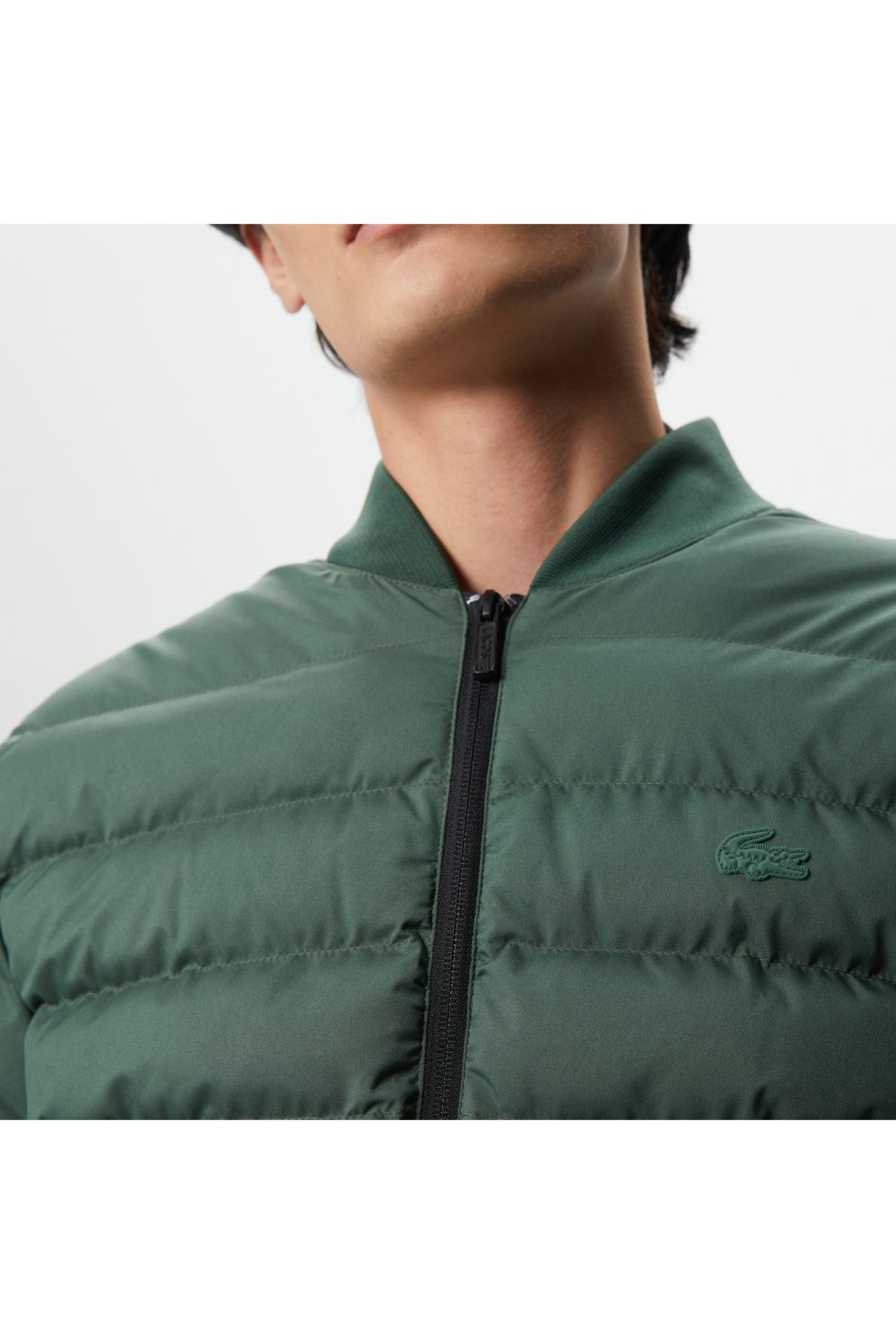 کاپشن سبز مردانه مانتو خاکی لحاف یقه قاضی Lacoste