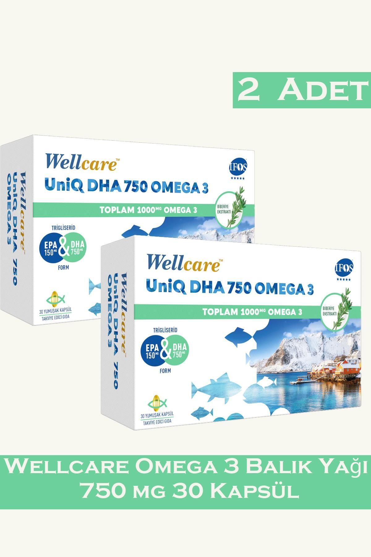 Wellcare Omega 3 Balık Yağı 750 mg 30 Kapsül 2 Adet