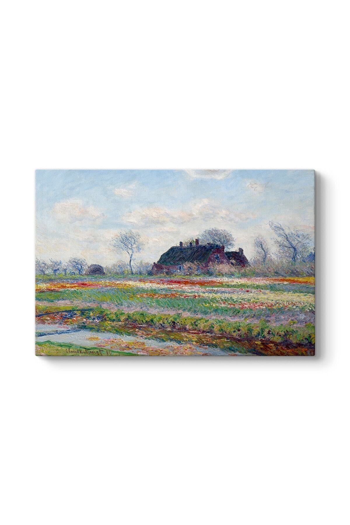Vividale Claude Monet - Lale Tarlaları Tablosu