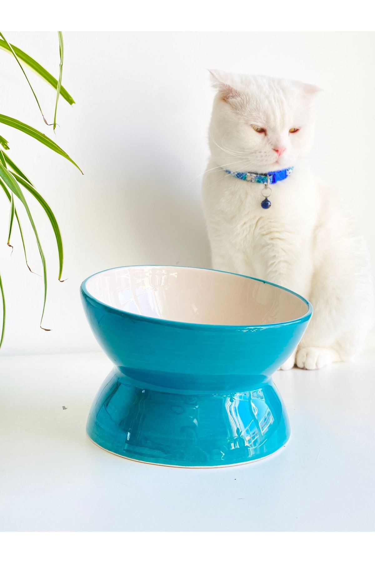 stilinbu-Ceramic Slow Eat Cat Food Bowl (Turquoise) 3