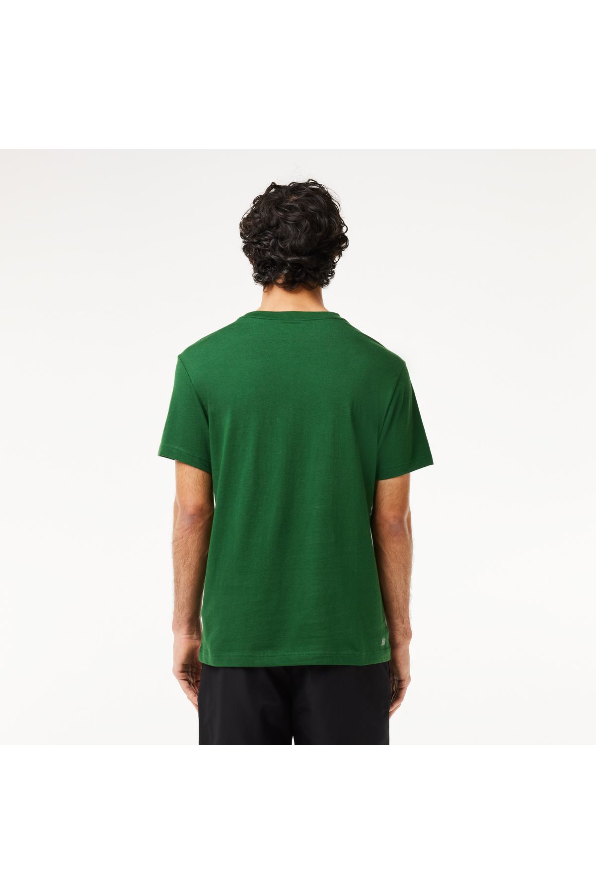 تی شرت سبز مردانه طرح دار با دوچرخه مناسب ورزشی Lacoste