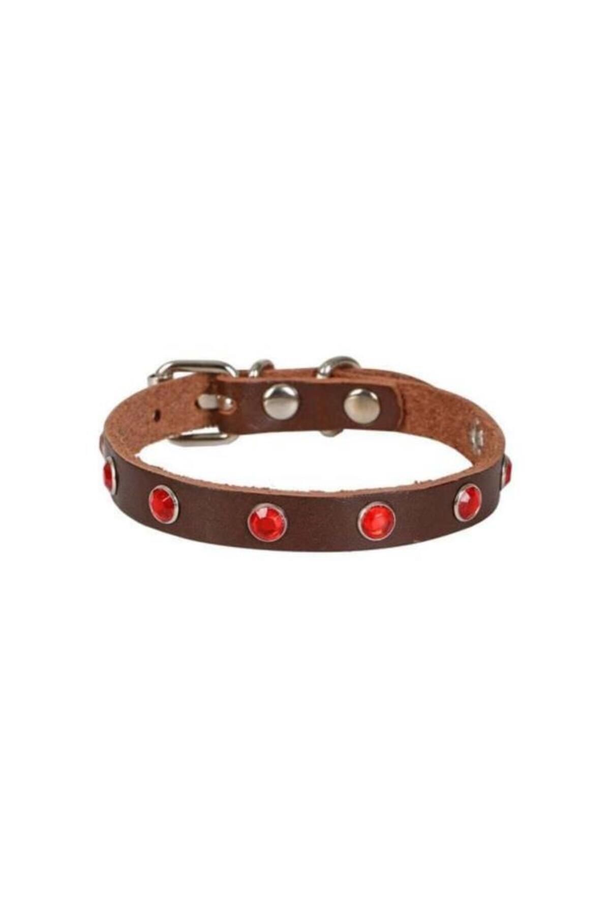 O Cat Cattie Gerçek Deriden Taşlı Kedi Boyun Tasması Medium Kahverengi 1x20-23 Cm - Petshopundan