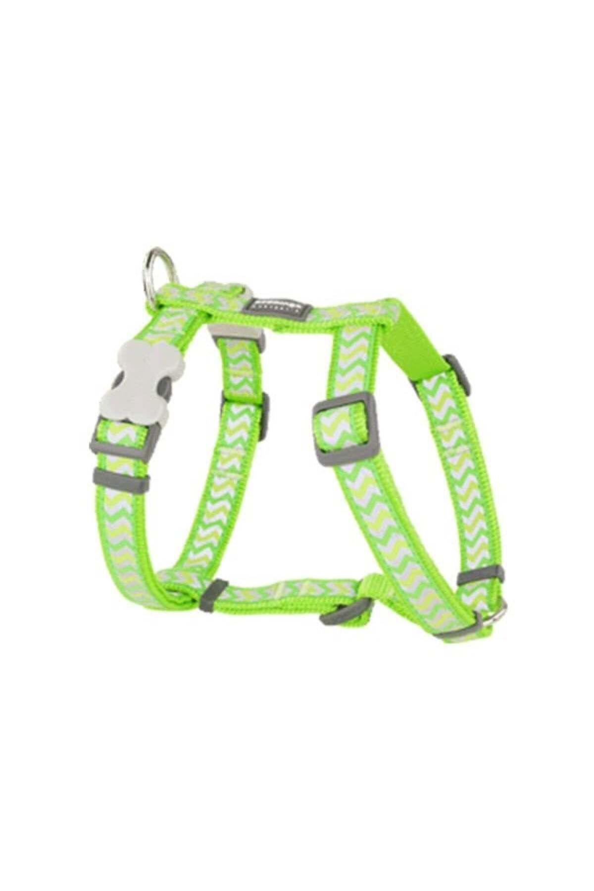 RedDingo 12 mm (Xs) - Lime - Petshopundan