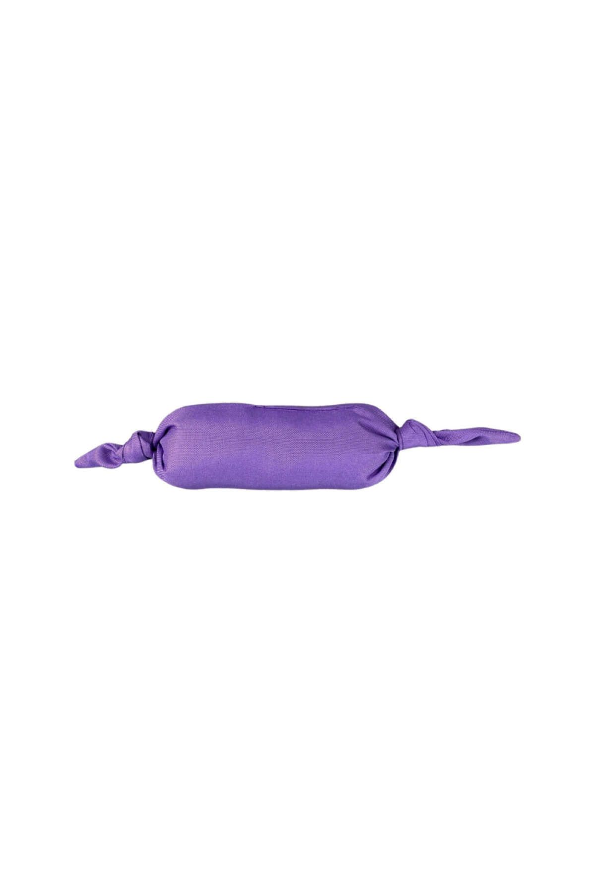 Pet Comfort At-getir Köpek Oyuncağı Su Geçirmez Mor Ø8cm, 35cm GLSTD