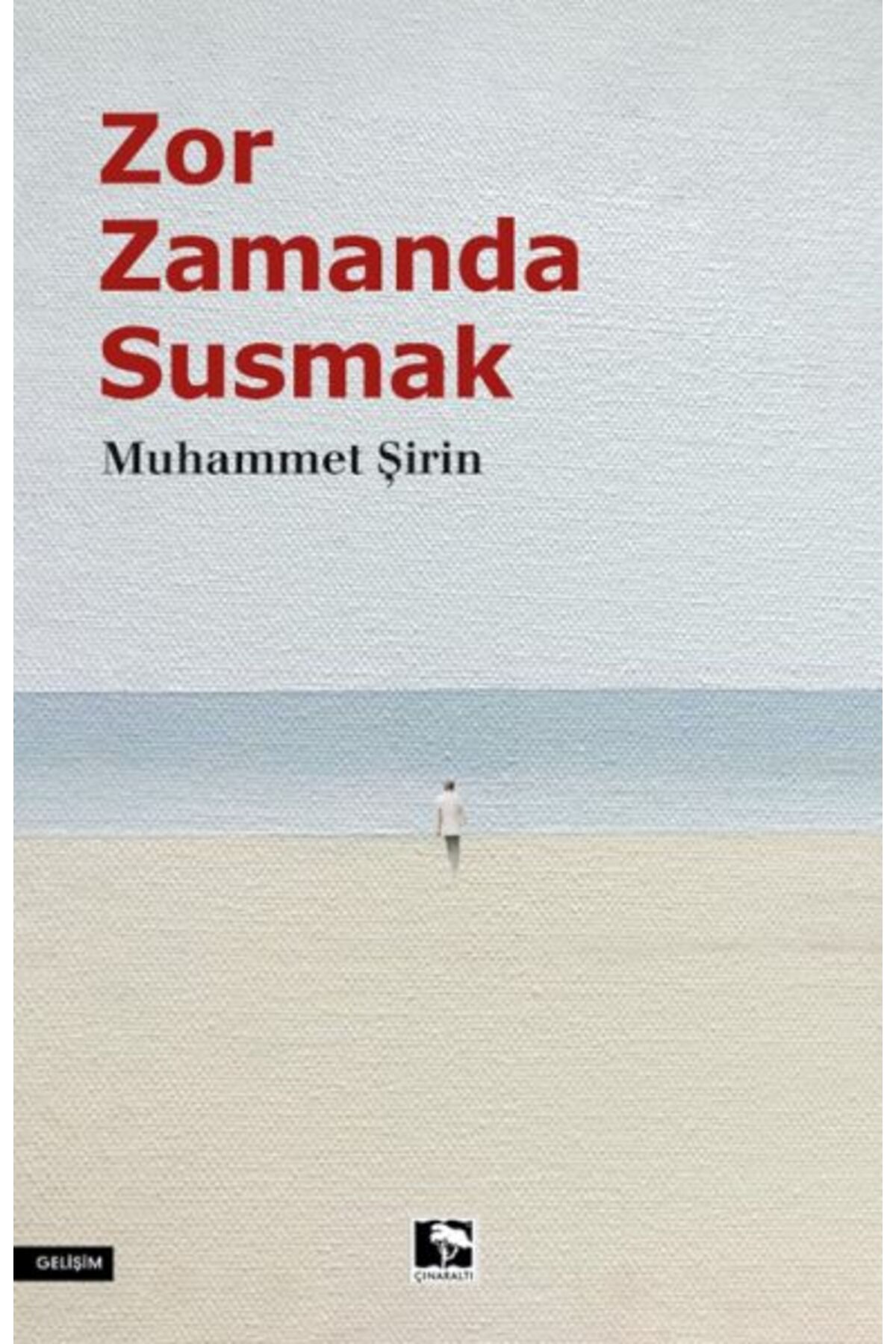 Çınaraltı Yayınları Zor Zamanda Susmak
