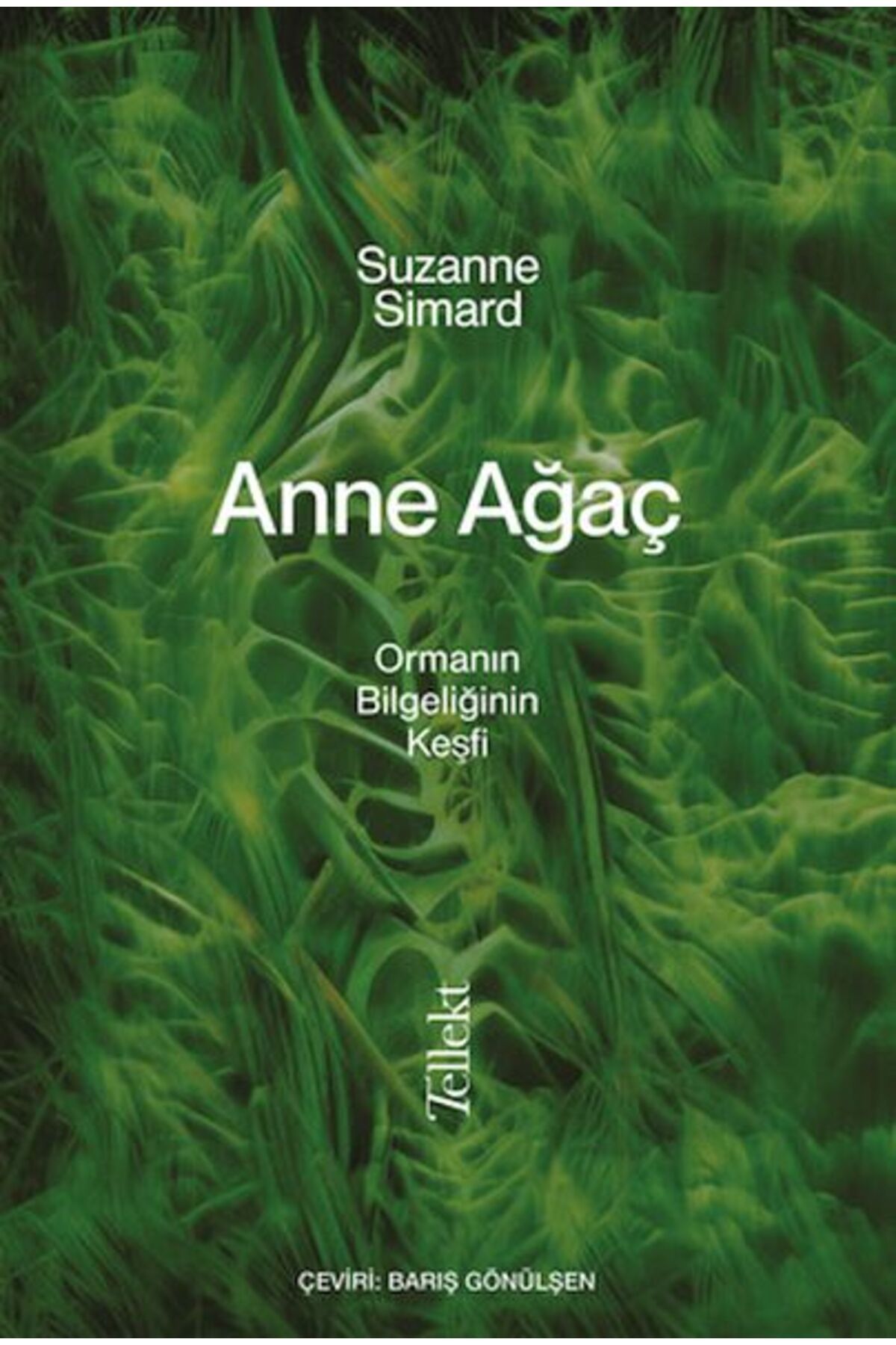 Destek Yayınları Anne Ağaç