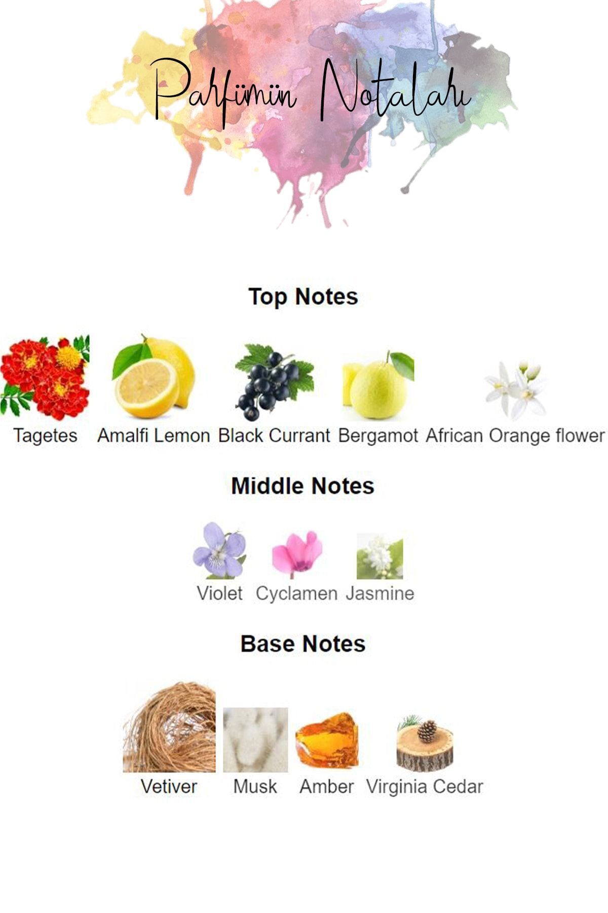 MYTHOLOGIC PERFUME-عطر ن-18 الأساطوري - عطر عسلي مكافئ 100 مل 3