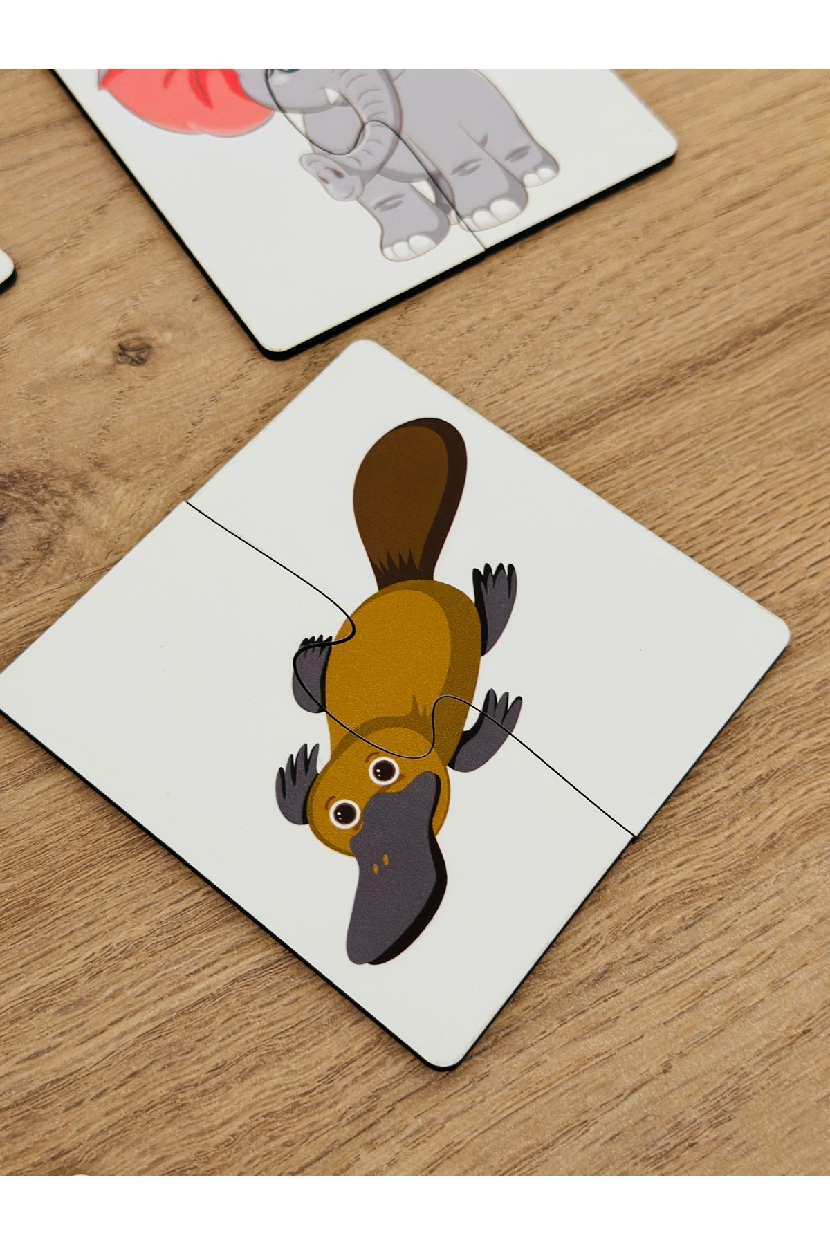 آموزش حیوانات، آموزش الفبا، کارت‌های جورکردنی حیوانات، اسباب‌بازی چوبی، اسباب‌بازی آموزشی