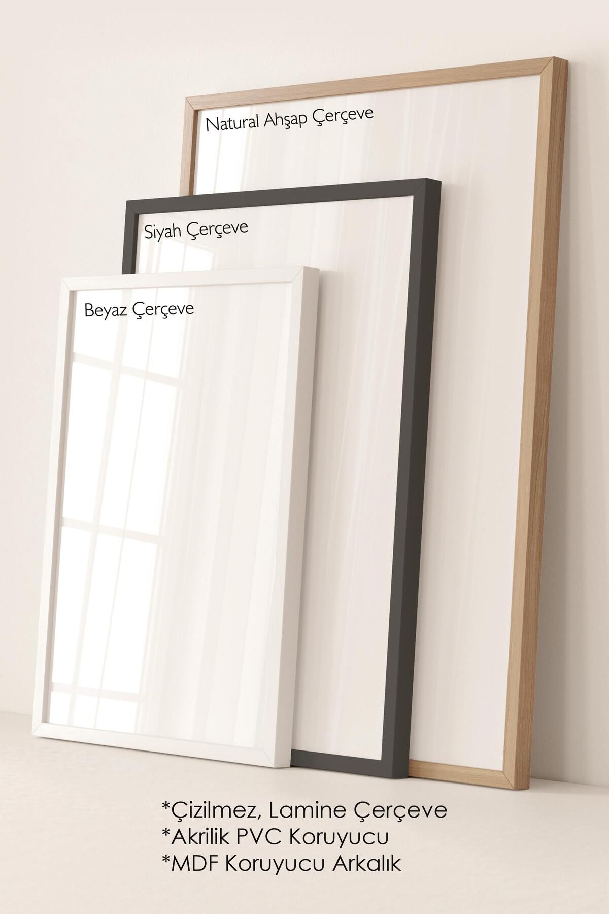 Çerçeveli Tablo Seti, 3 Adet Ahşap Çerçeve ve Soyut Temalı Poster Seti, Duvar Tablosu No:300672 - 3