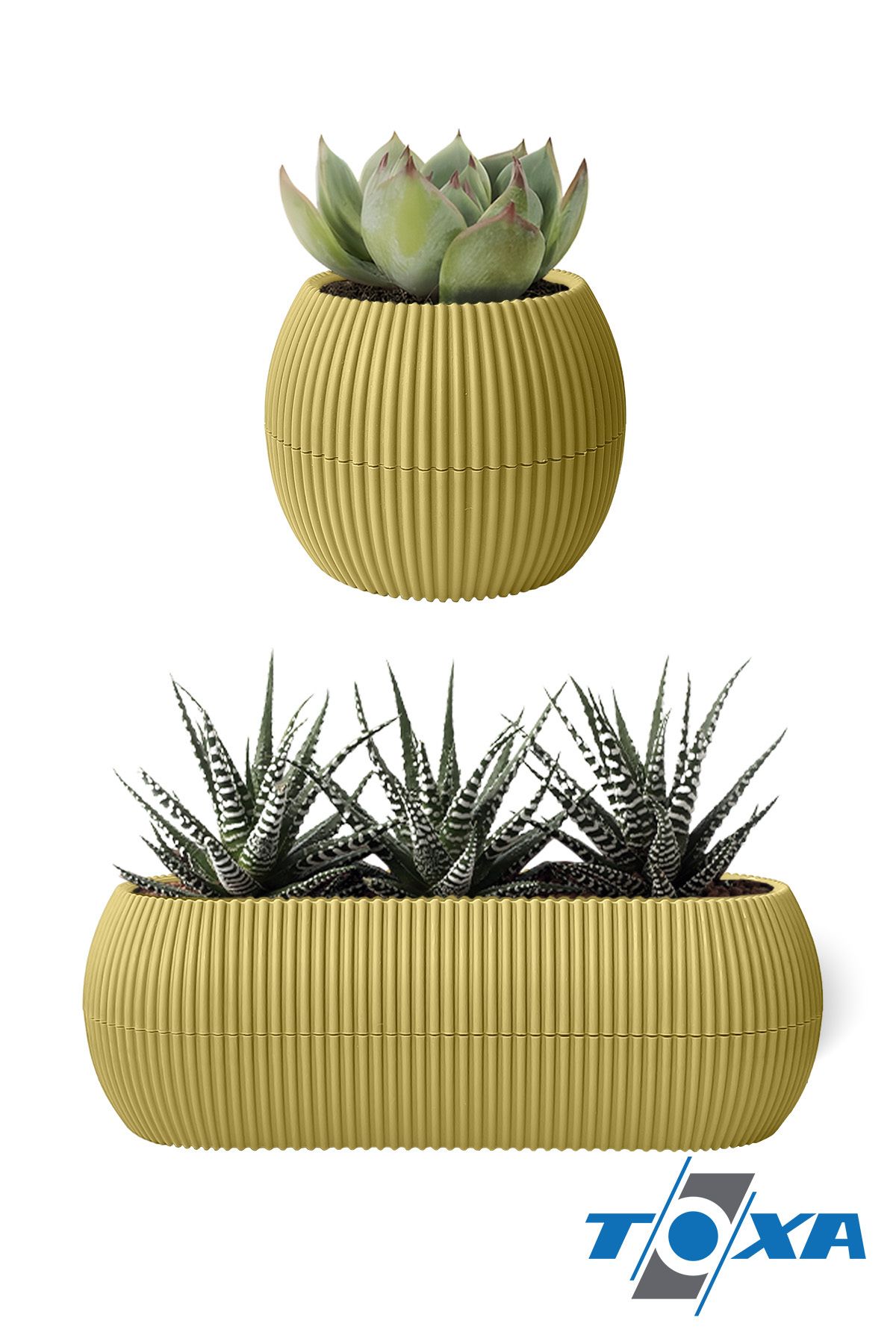 ToXA-4 Pieces Soft Yellow Coral Flower Pot Set Cactus Succulent Pot Decorative Plastic Flower Pot Set 3