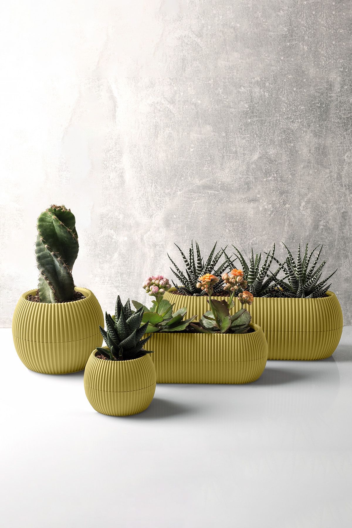 ToXA-4 Pieces Soft Yellow Coral Flower Pot Set Cactus Succulent Pot Decorative Plastic Flower Pot Set 1