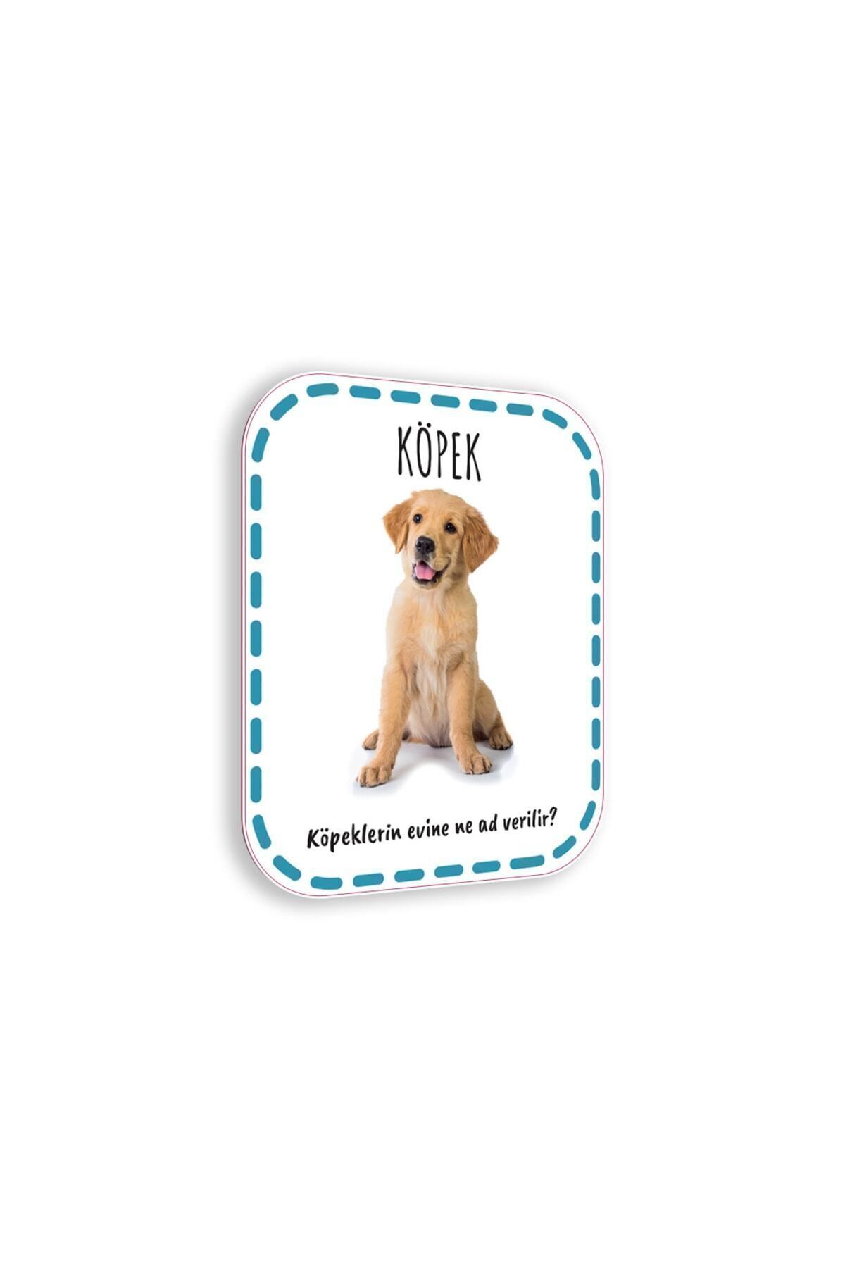 Çocuk Akademi Ilk Adım Zeka Kartı Hayvanlar fotoğrafı 4 (önizleme)