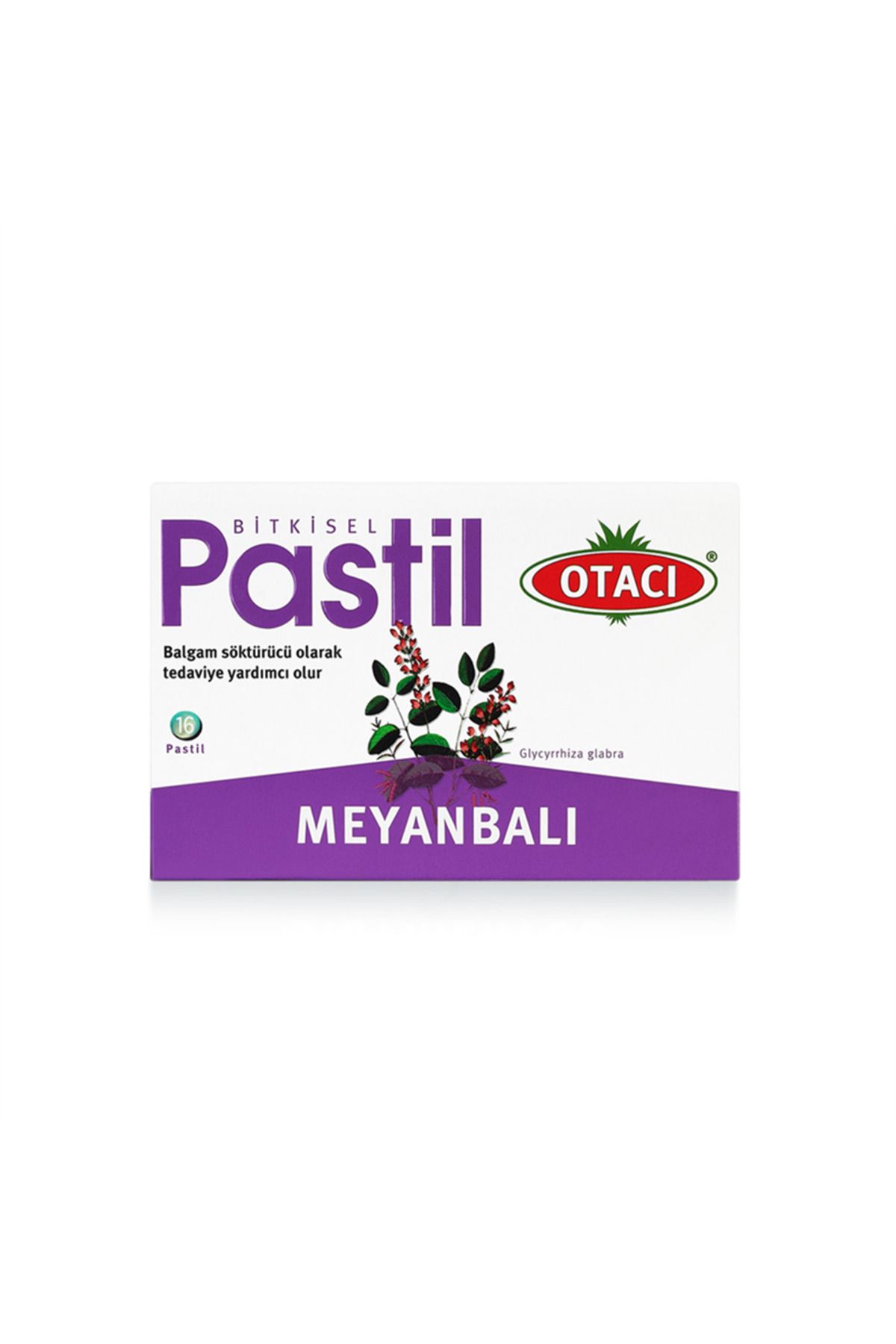 Otacı Pastil Meyanbalı 16 Pastil