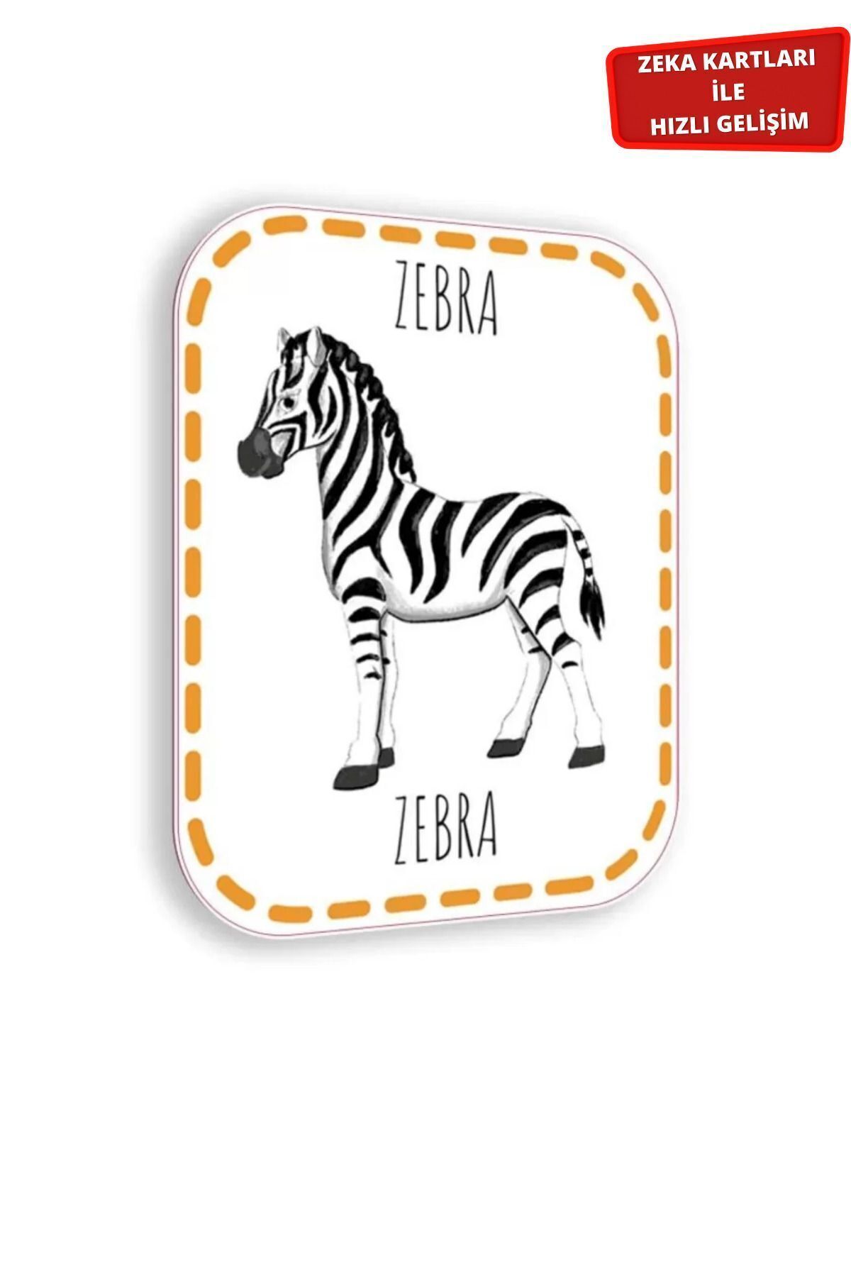 Çocuk Akademi Zeka Kartları Serisi-1 fotoğrafı 5 (önizleme)